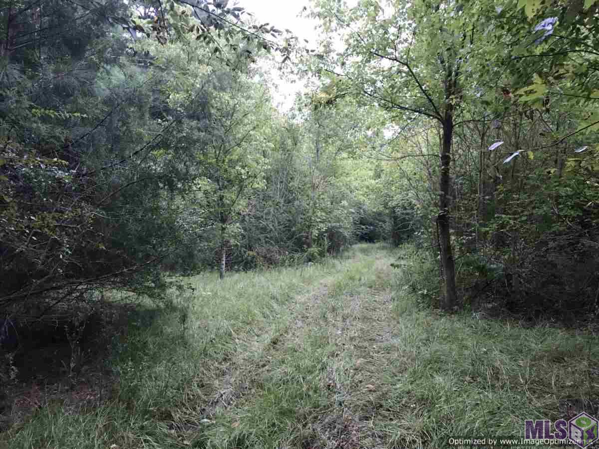 2141 Midway Road Wesson, MS 39191 - Photo 10 of 23