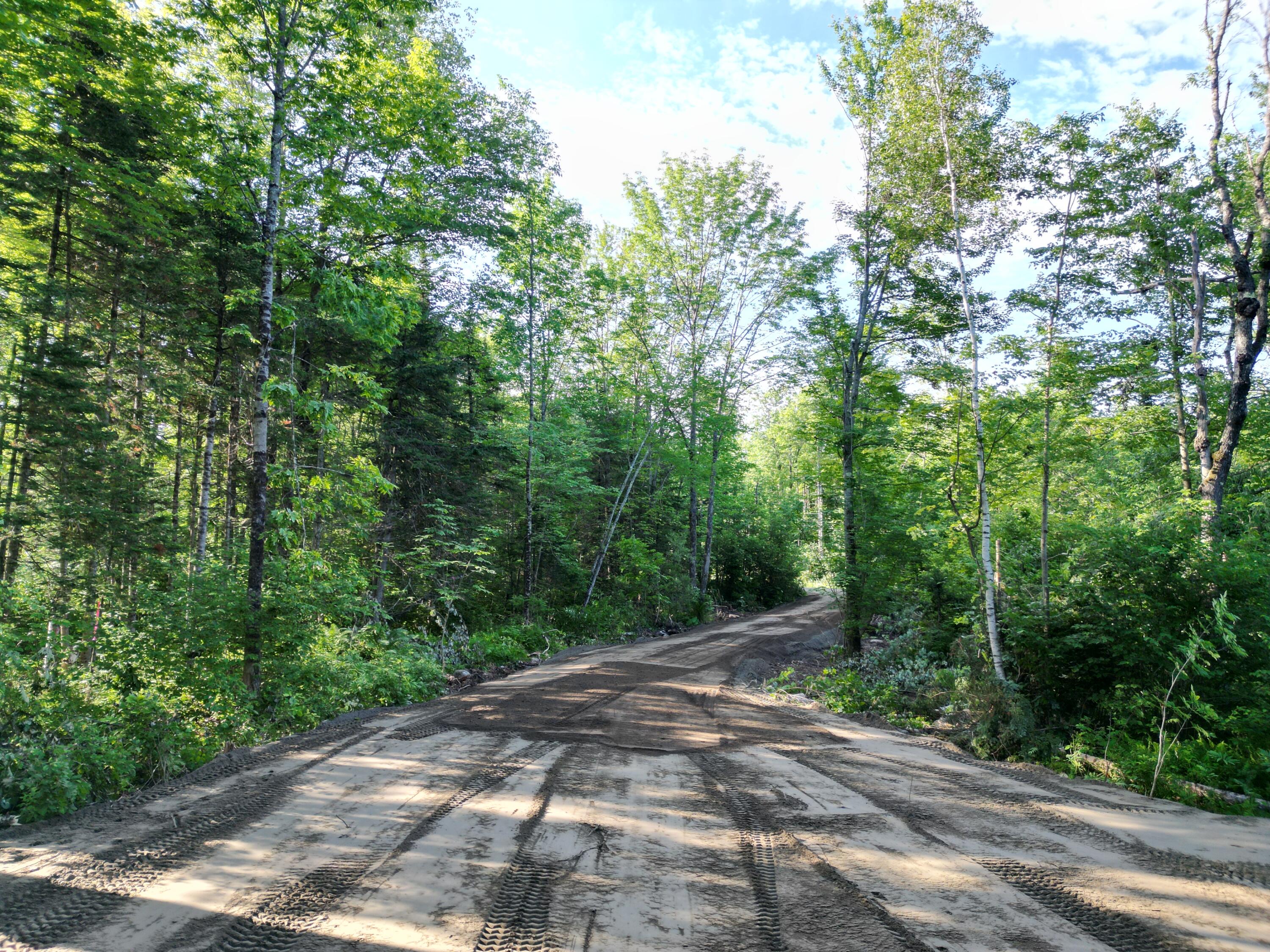 Tbd Bacon Road Charleston, ME 04422 - Photo 9 of 16 DJI_0017