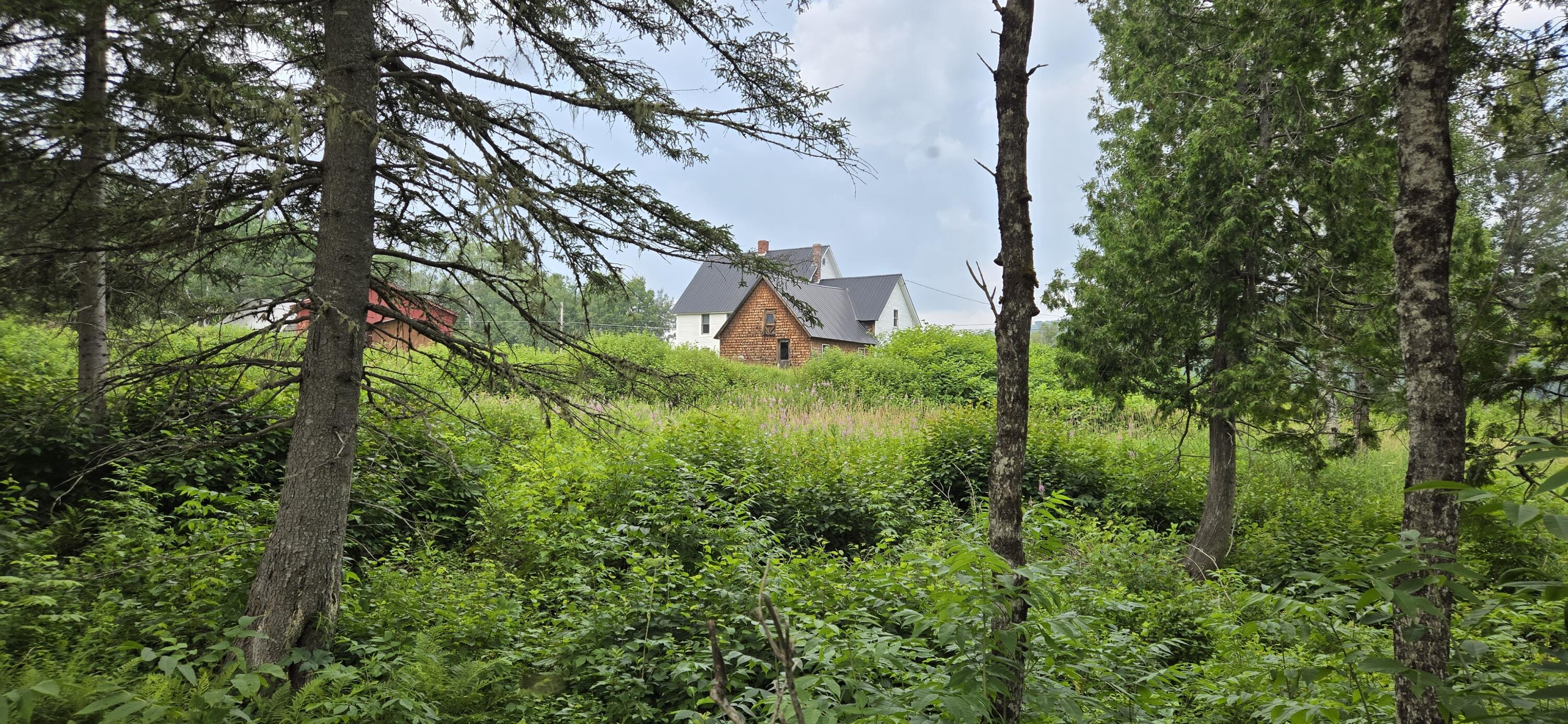 858 Allagash Road Allagash, ME 04774 - Photo 44 of 65