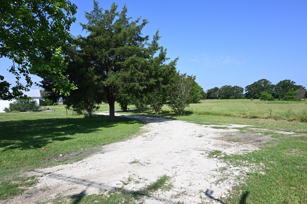 8698 River Bend Road Oakwood, TX 75855 - Photo 40 of 55