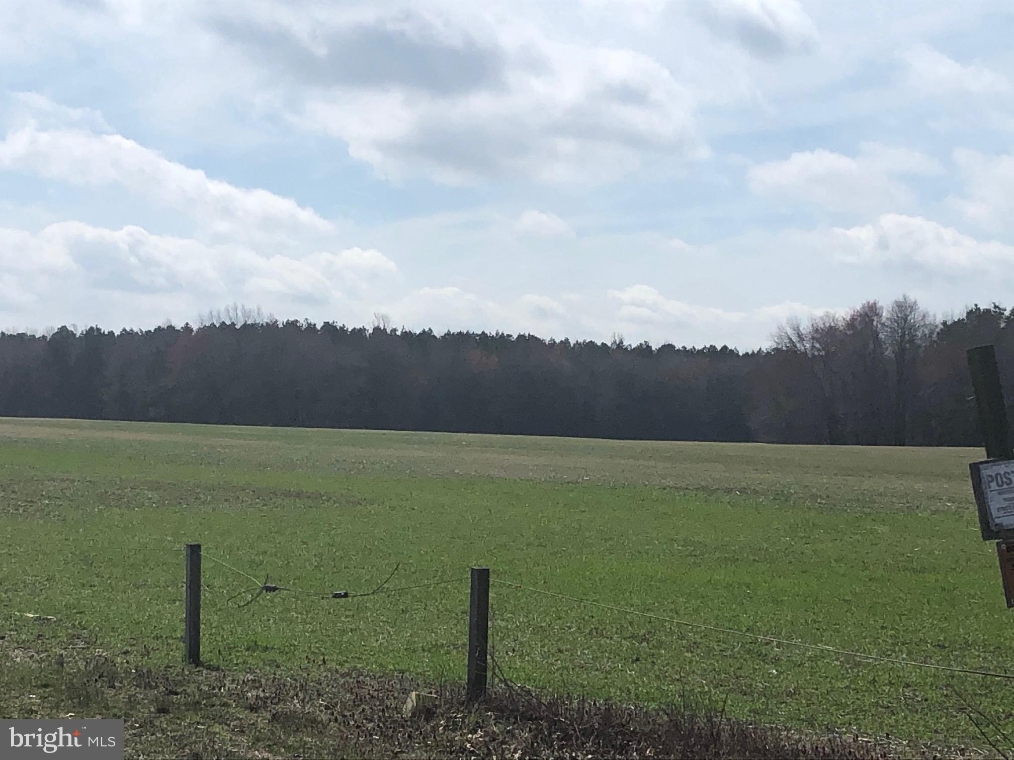 Bakbone RD