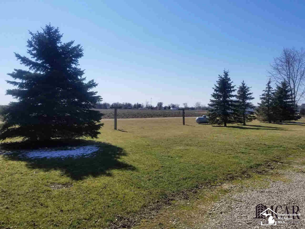 1575 East Dean Road Erie, MI 48133 - Photo 3 of 16 Over 1 Acre
