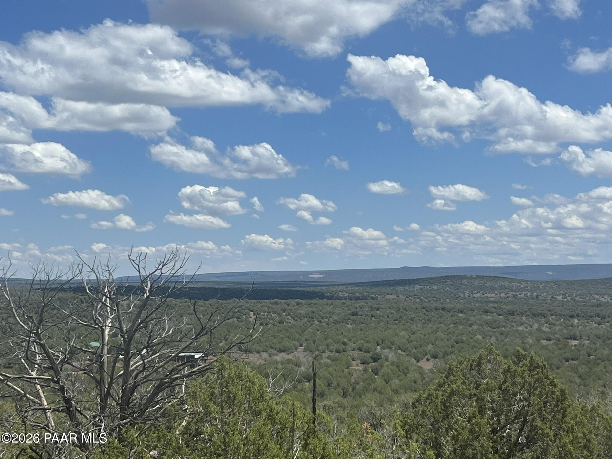 82 Mathis Road Ash Fork, AZ 86320 - Photo 4 of 17 IMG_0361