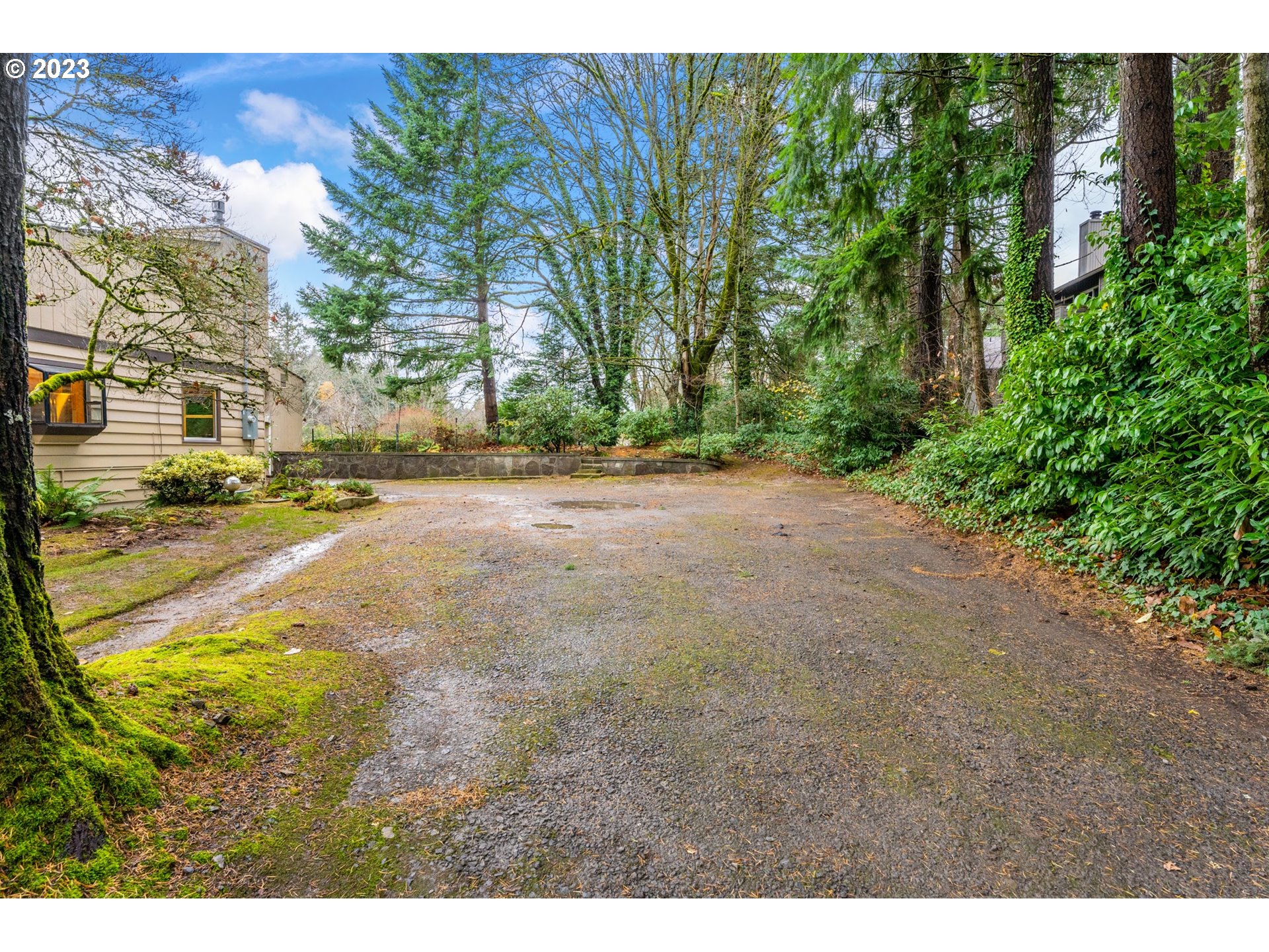 2435 Southwest Dakota Street Portland, OR 97239 - Photo 4 of 47 a view of a yard with plants and large trees