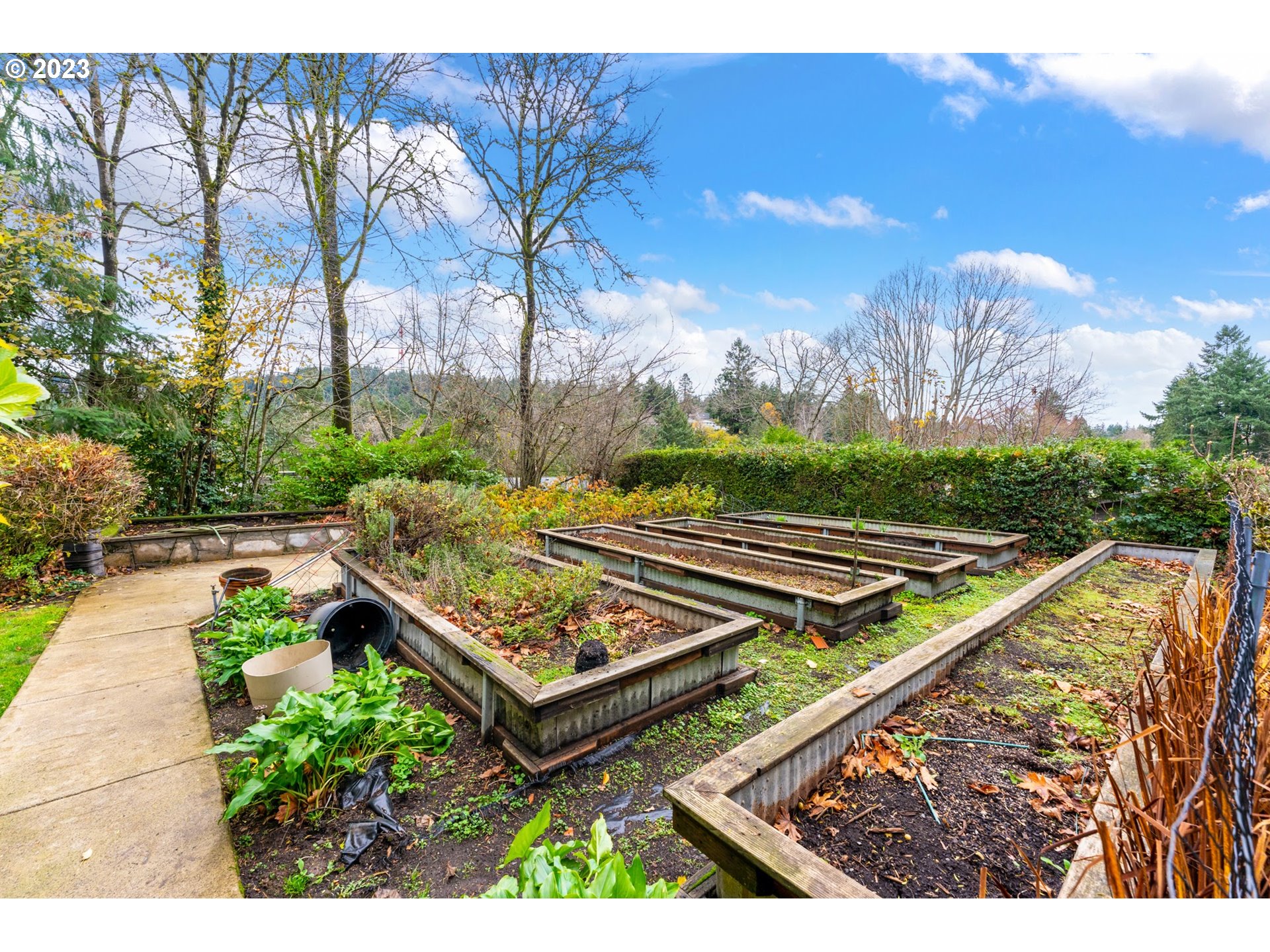 2435 Southwest Dakota Street Portland, OR 97239 - Photo 43 of 47 a view of a park with large trees