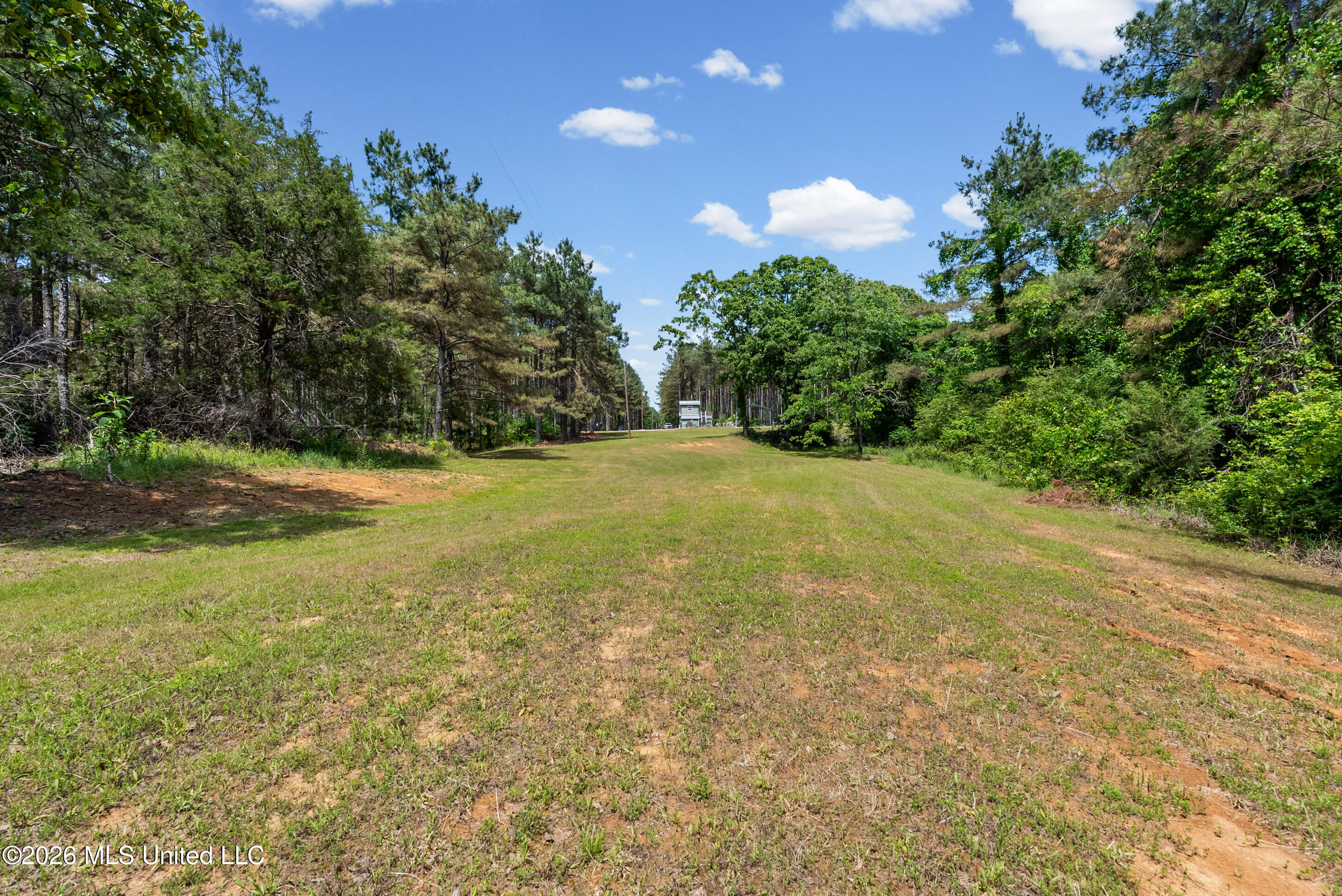 202 Powell Chapel Road Holly Springs, MS 38635 - Photo 22 of 59 dsc06345_print