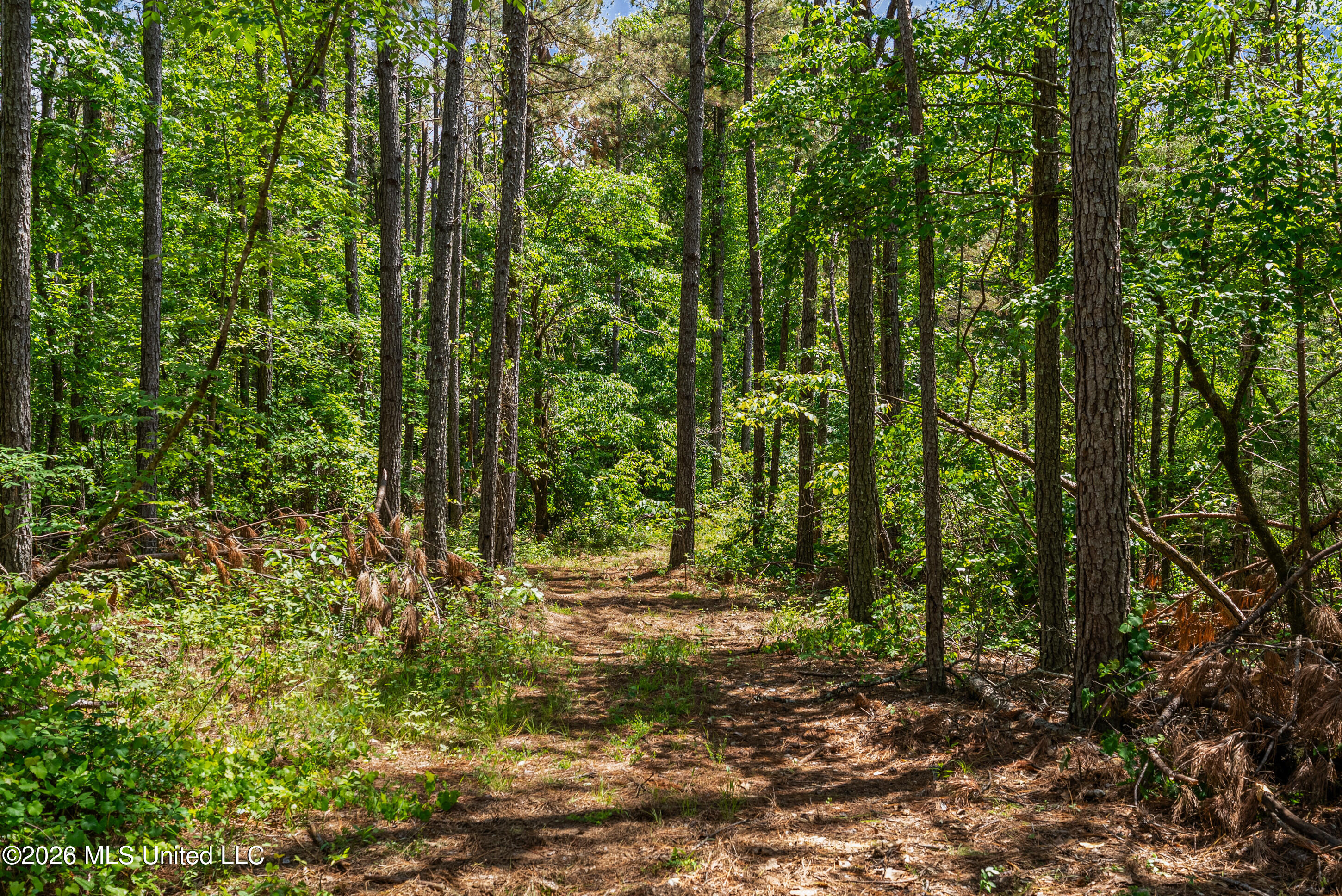 202 Powell Chapel Road Holly Springs, MS 38635 - Photo 23 of 59 dsc06355_print