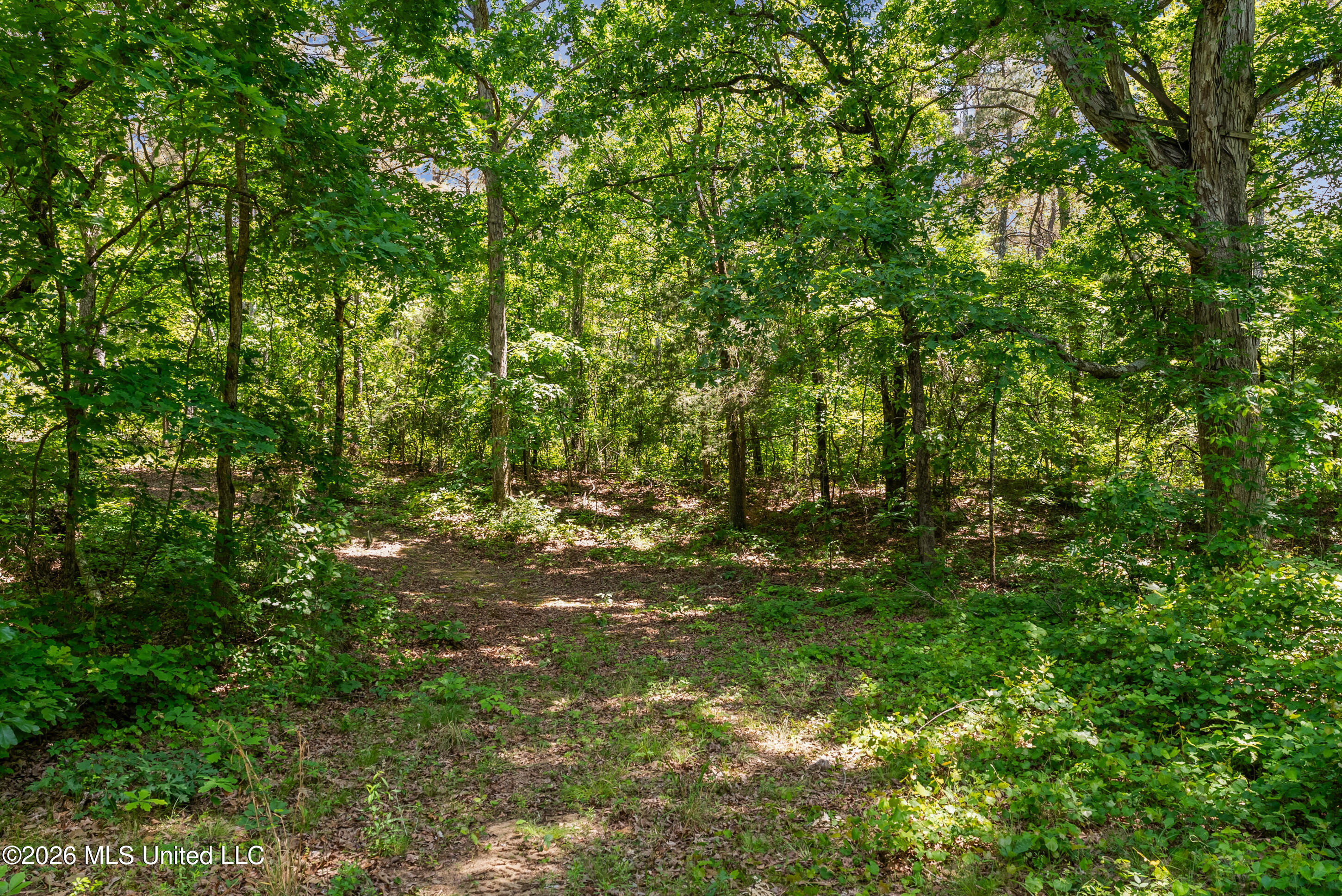 202 Powell Chapel Road Holly Springs, MS 38635 - Photo 26 of 59 dsc06370_print
