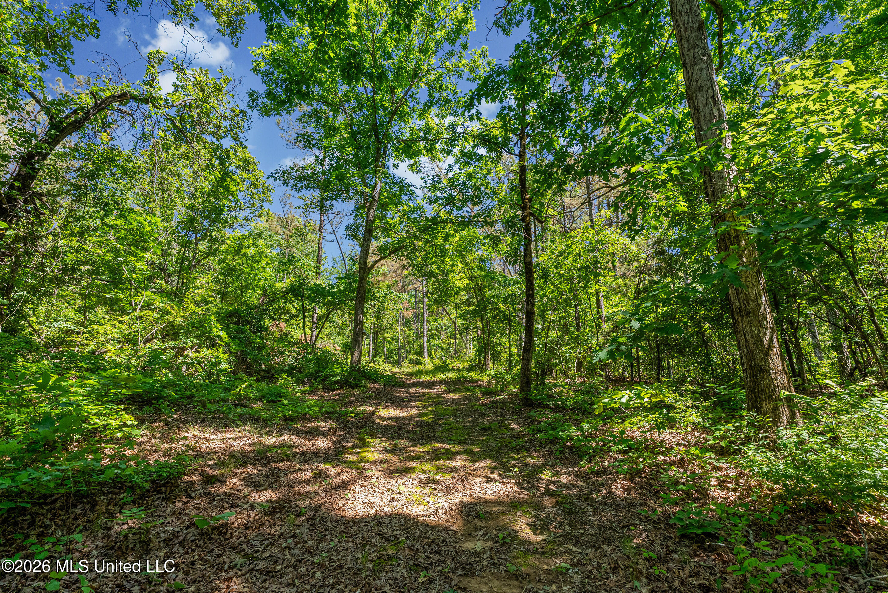 202 Powell Chapel Road Holly Springs, MS 38635 - Photo 29 of 59 dsc06399_print