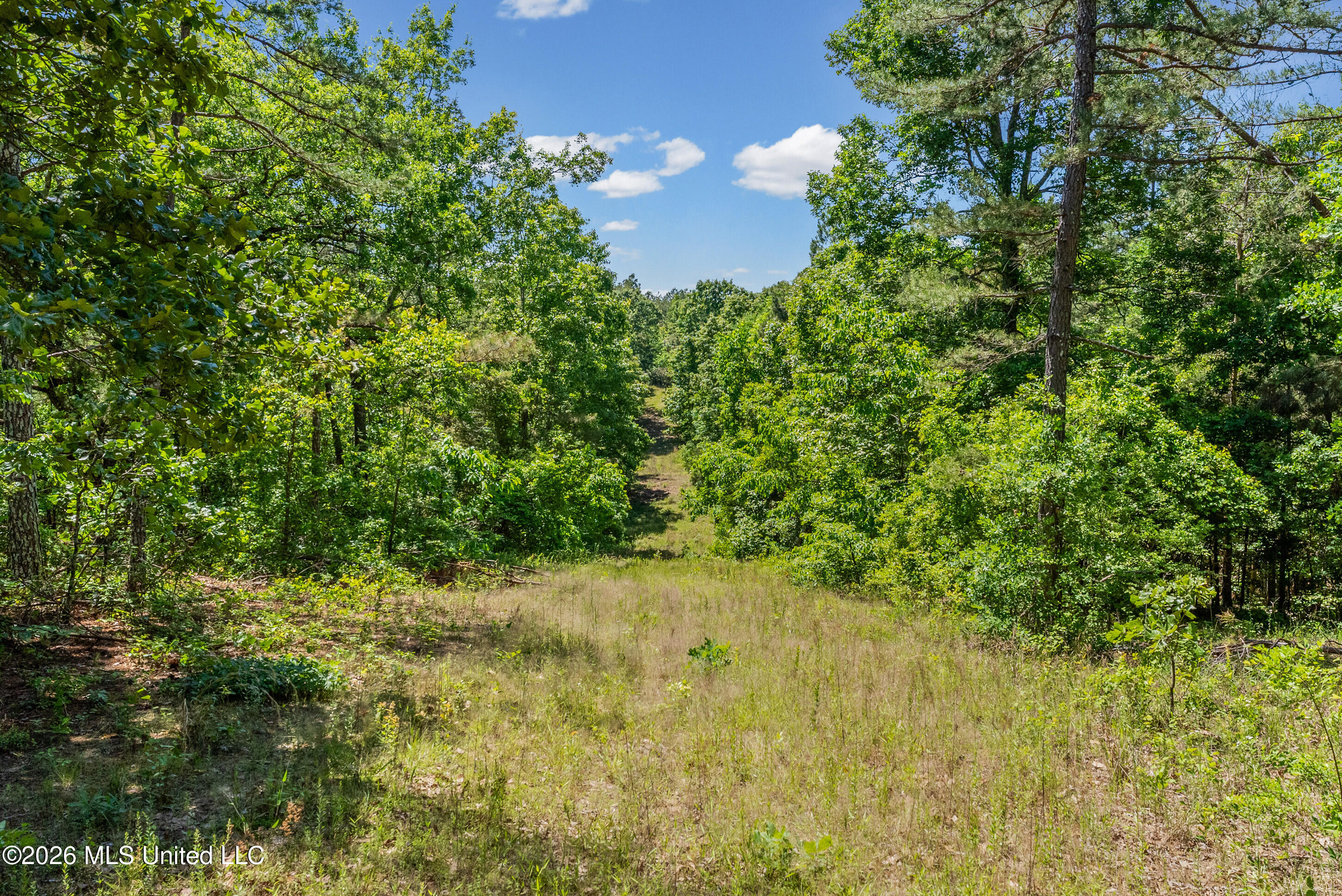 202 Powell Chapel Road Holly Springs, MS 38635 - Photo 39 of 59 dsc06459_print