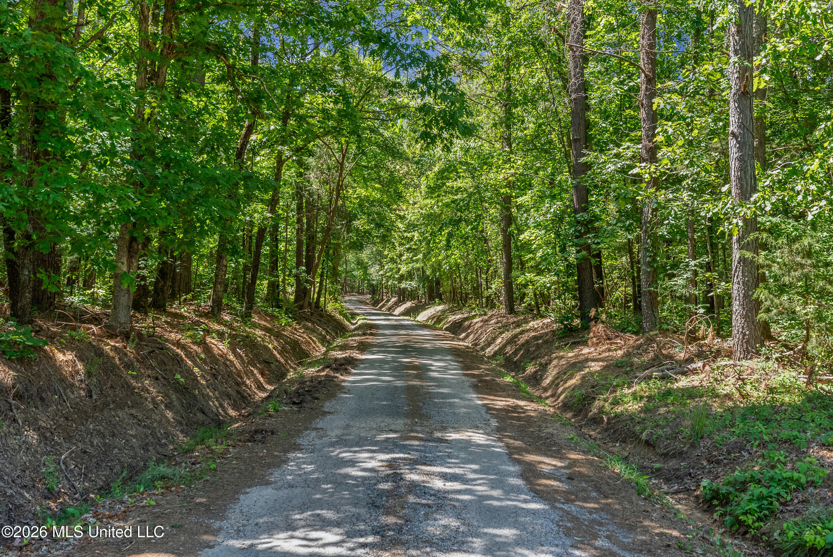 202 Powell Chapel Road Holly Springs, MS 38635 - Photo 45 of 59 dsc06509_print
