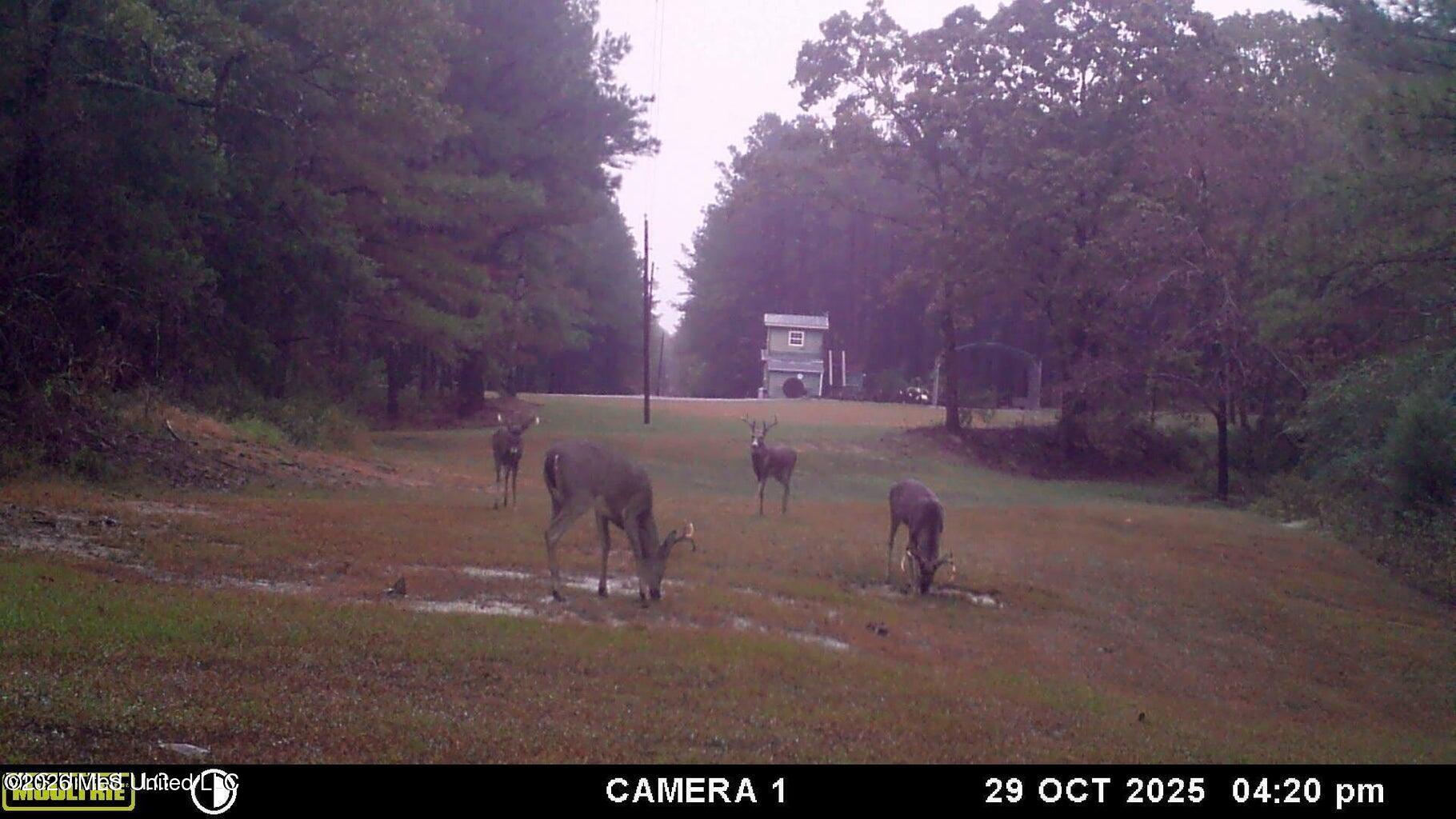 202 Powell Chapel Road Holly Springs, MS 38635 - Photo 59 of 59 20251031181933809780000000-o