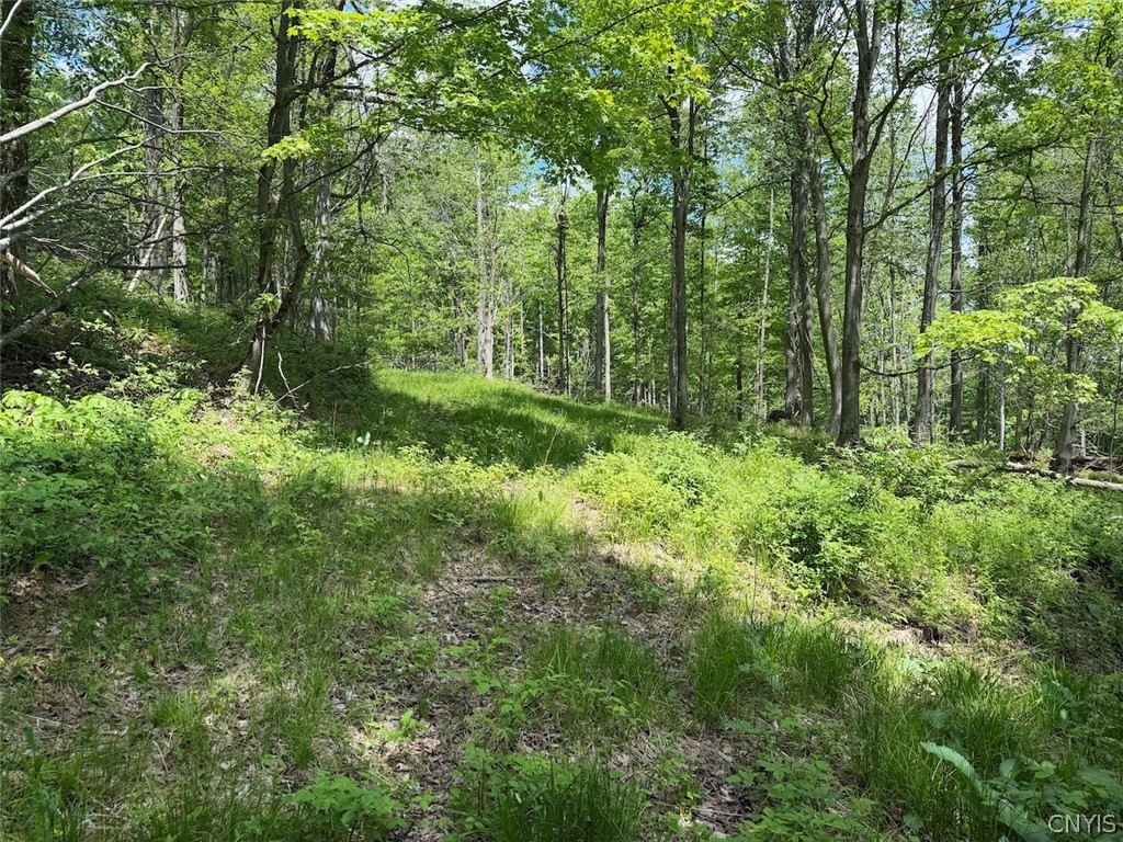 Dye Road South Dayton, NY 14138 - Photo 20 of 27