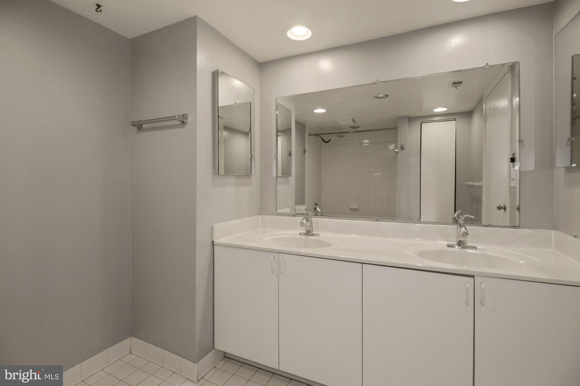1040 Deer Ridge Drive, Unit 309 Baltimore, MD 21210 - Photo 20 of 31 Master Bathroom with recessed lights