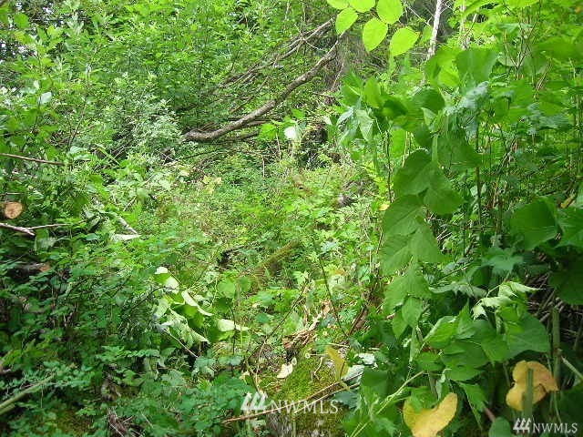 a view of a plant