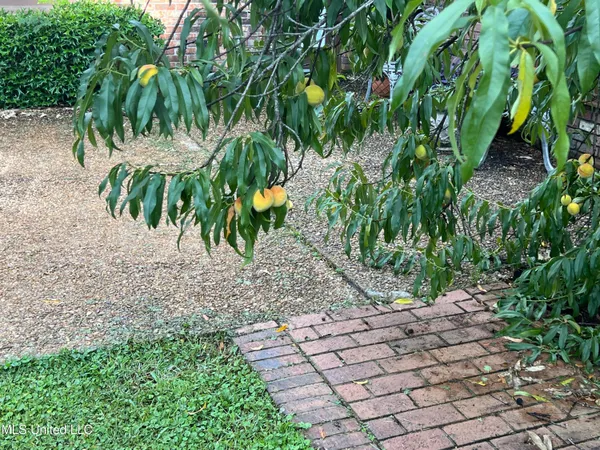 $724,850 | 19589 Juniper Drive, Saucier, MS 39574