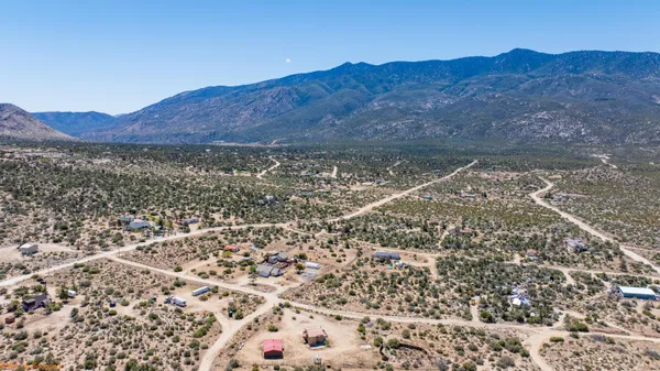 a view of a large tree in a field