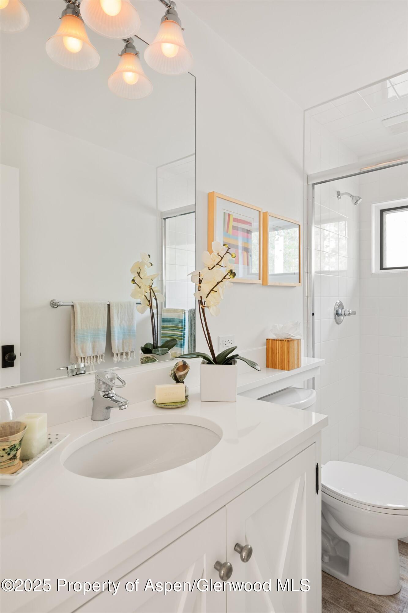 9555 Castle Creek Road Aspen, CO 81612 - Photo 30 of 42 a bathroom with a sink and a toilet