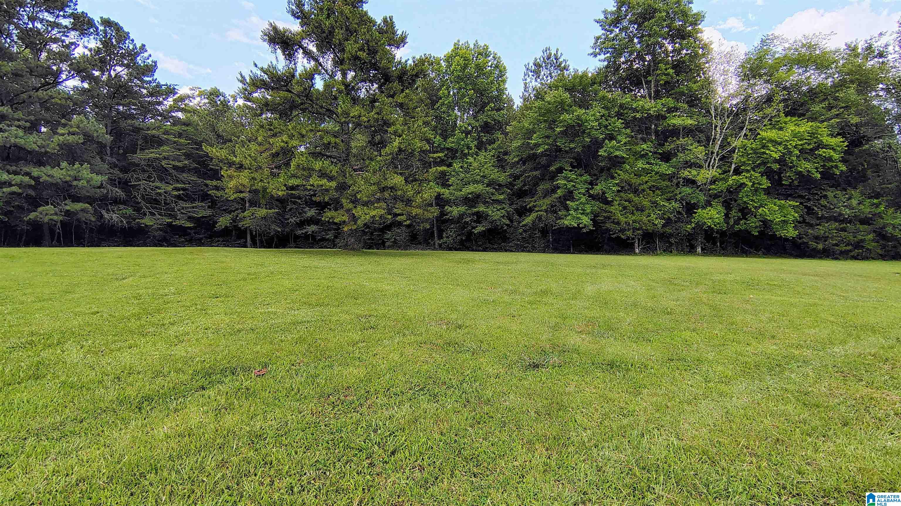 7027 Groundhog Road Morris, AL 35116 - Photo 34 of 36
