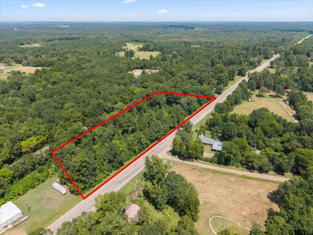 a view of a garden with a pathway