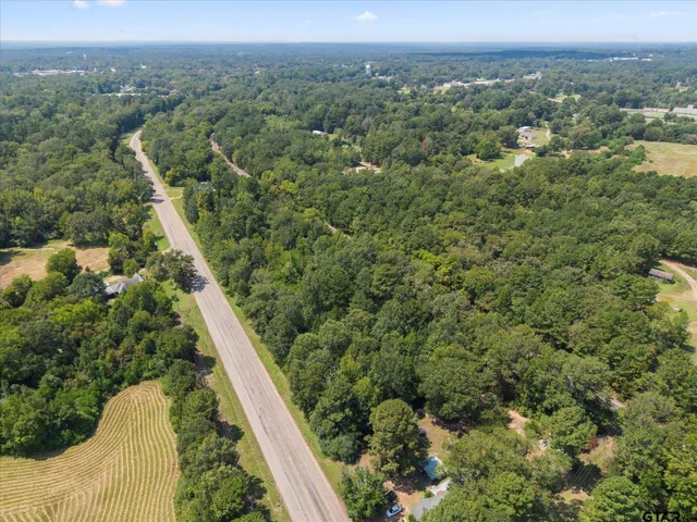 a view of a city with lush green forest
