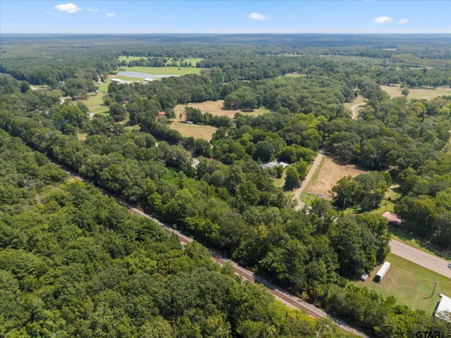 an aerial view of green landscape with trees houses and mountain view