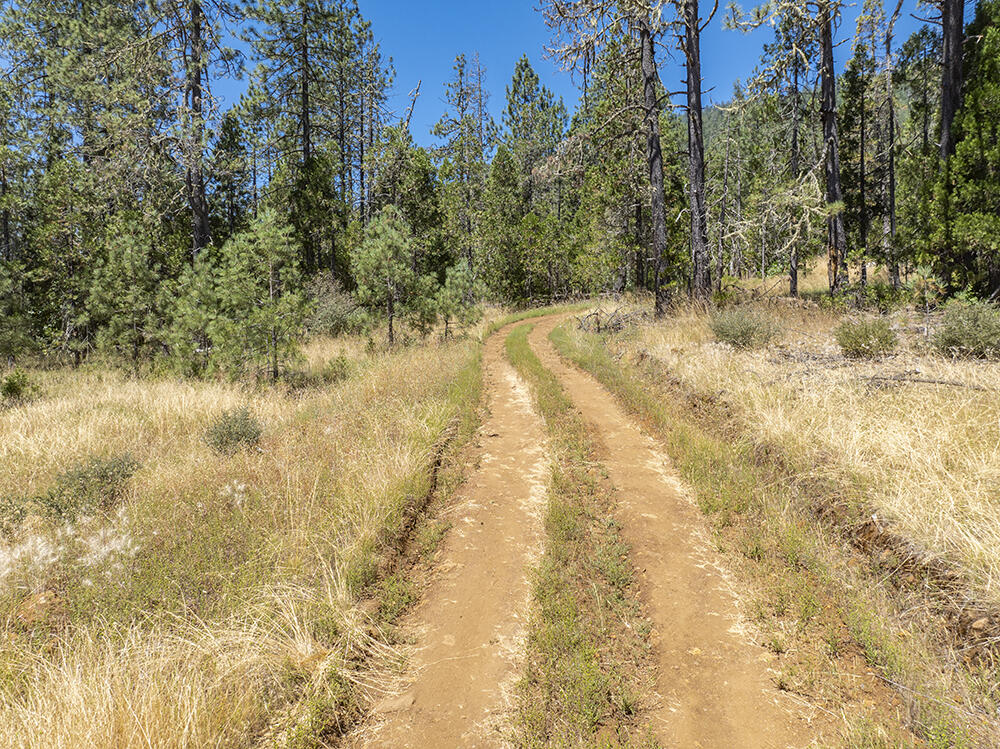 650 Gold Canyon Road Selma, OR 97538 - Photo 22 of 47 25