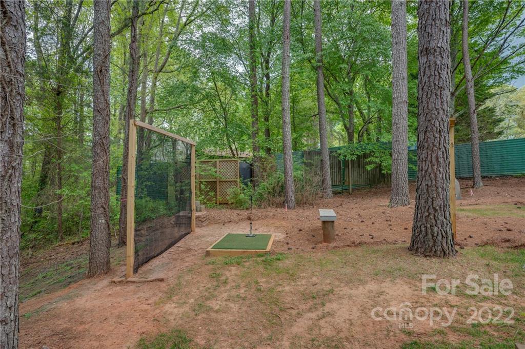 317 Wallace Road Ellenboro, NC 28040 - Photo 31 of 34 Gallery Image 31