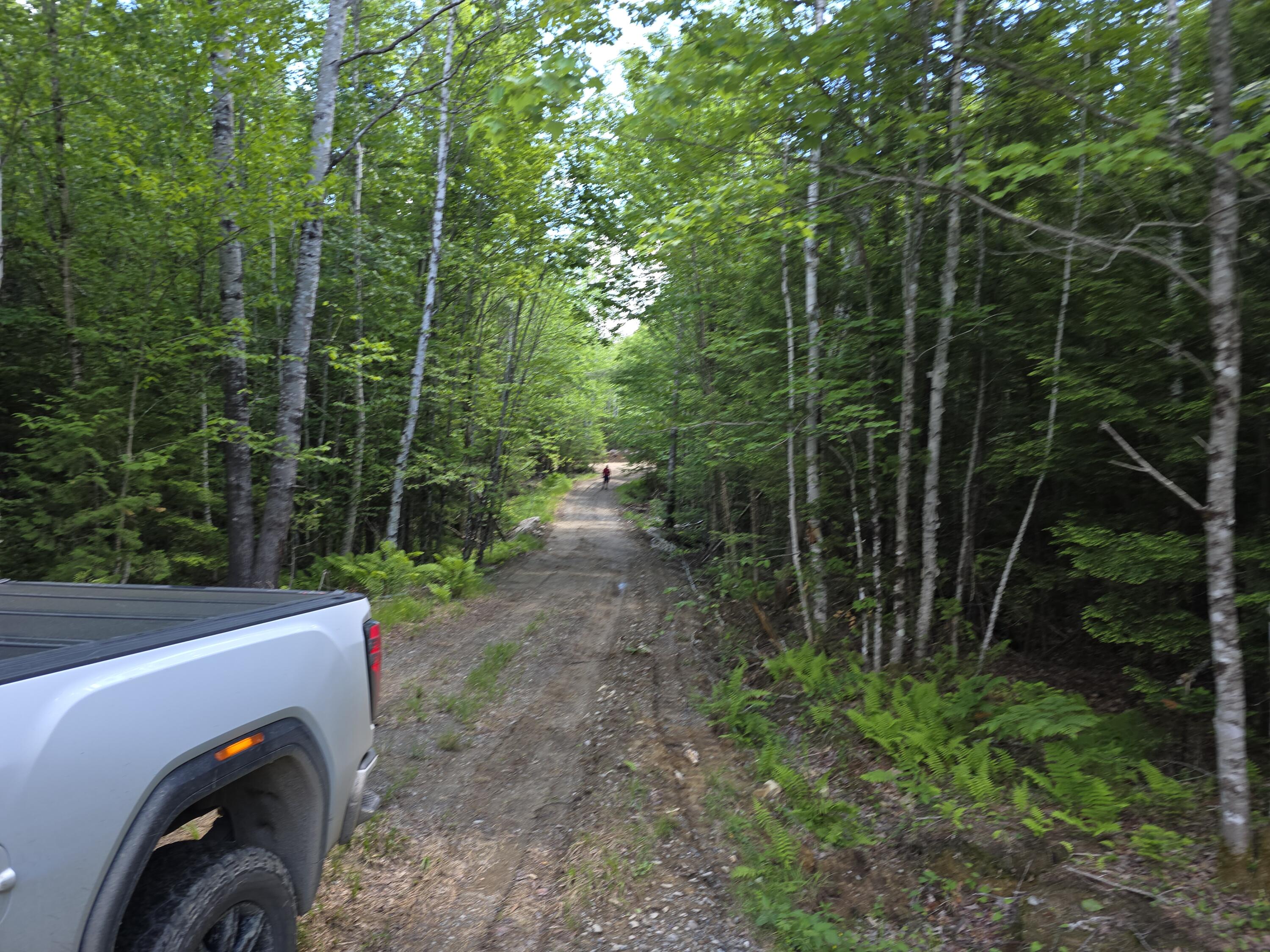 13-off Birch Hl Road Lakeville, ME 04487 - Photo 3 of 5 20260617_115854