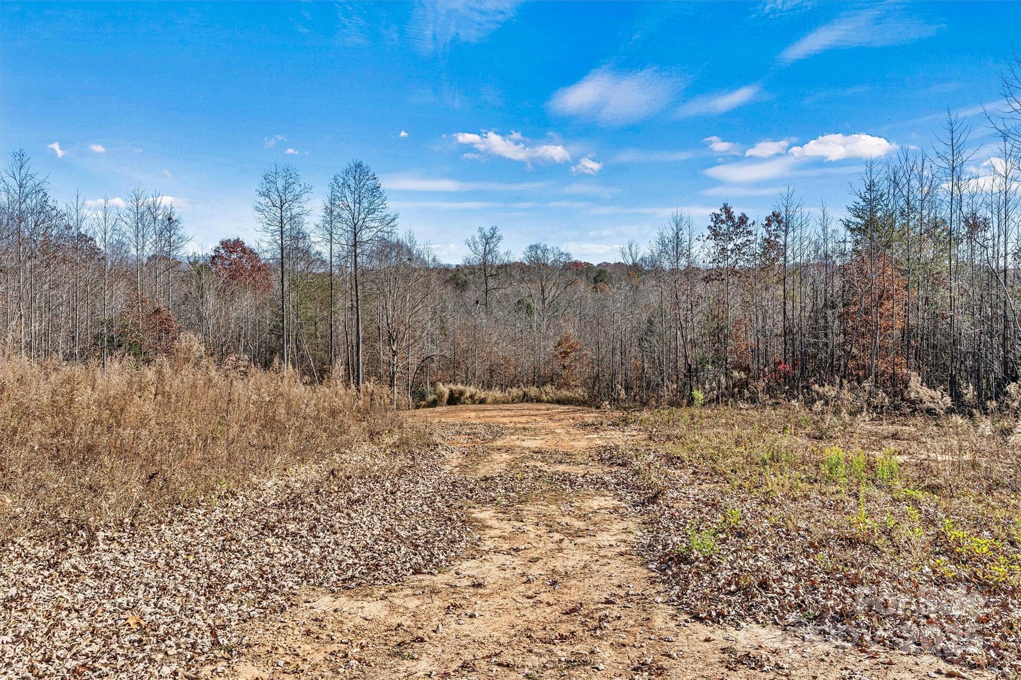 2170 Otis Dellinger Road Lincolnton, NC 28092 - Photo 16 of 20 Gallery Image 16