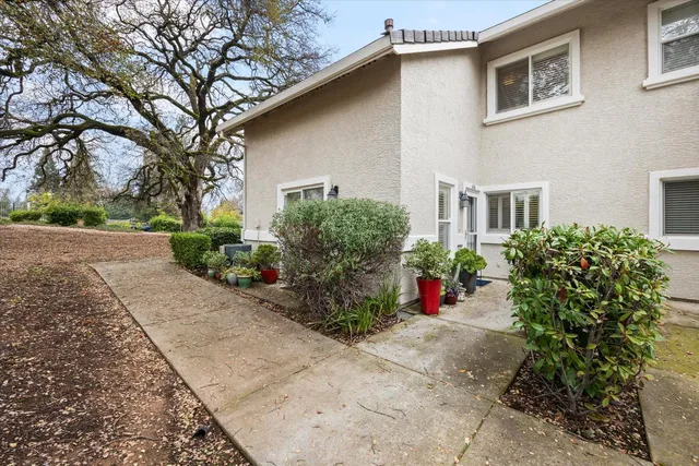 a flower plants in front of a house