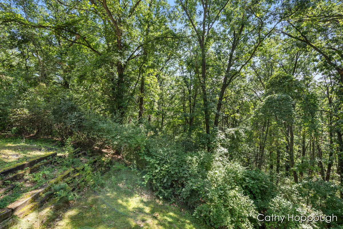 735 Prairie Creek Road Ionia, MI 48846 - Photo 67 of 81