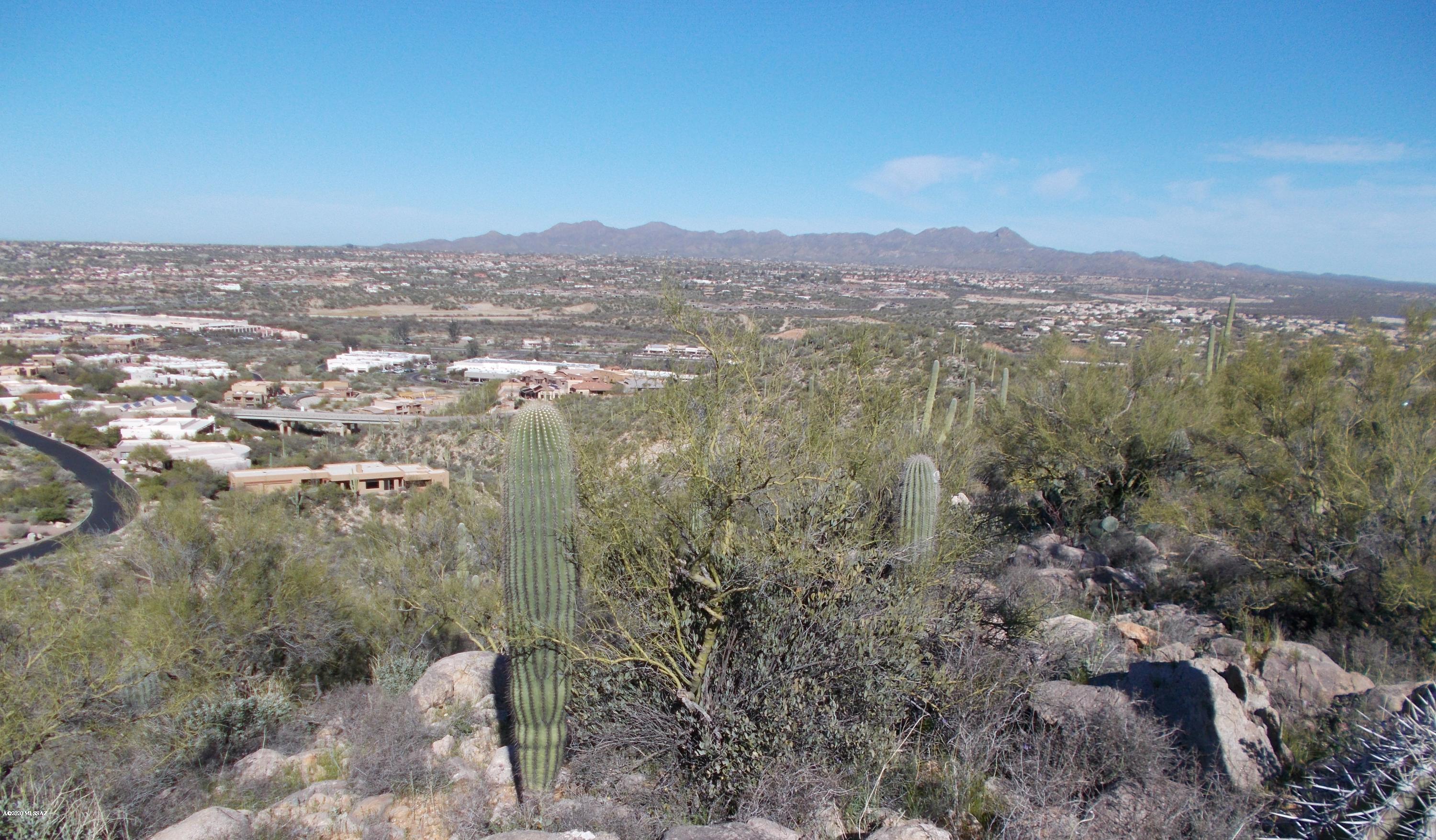 2280 Della Roccia Court, Unit 19 Oro Valley, AZ 85737 - Photo 16 of 20 an aerial view of residential house and green space