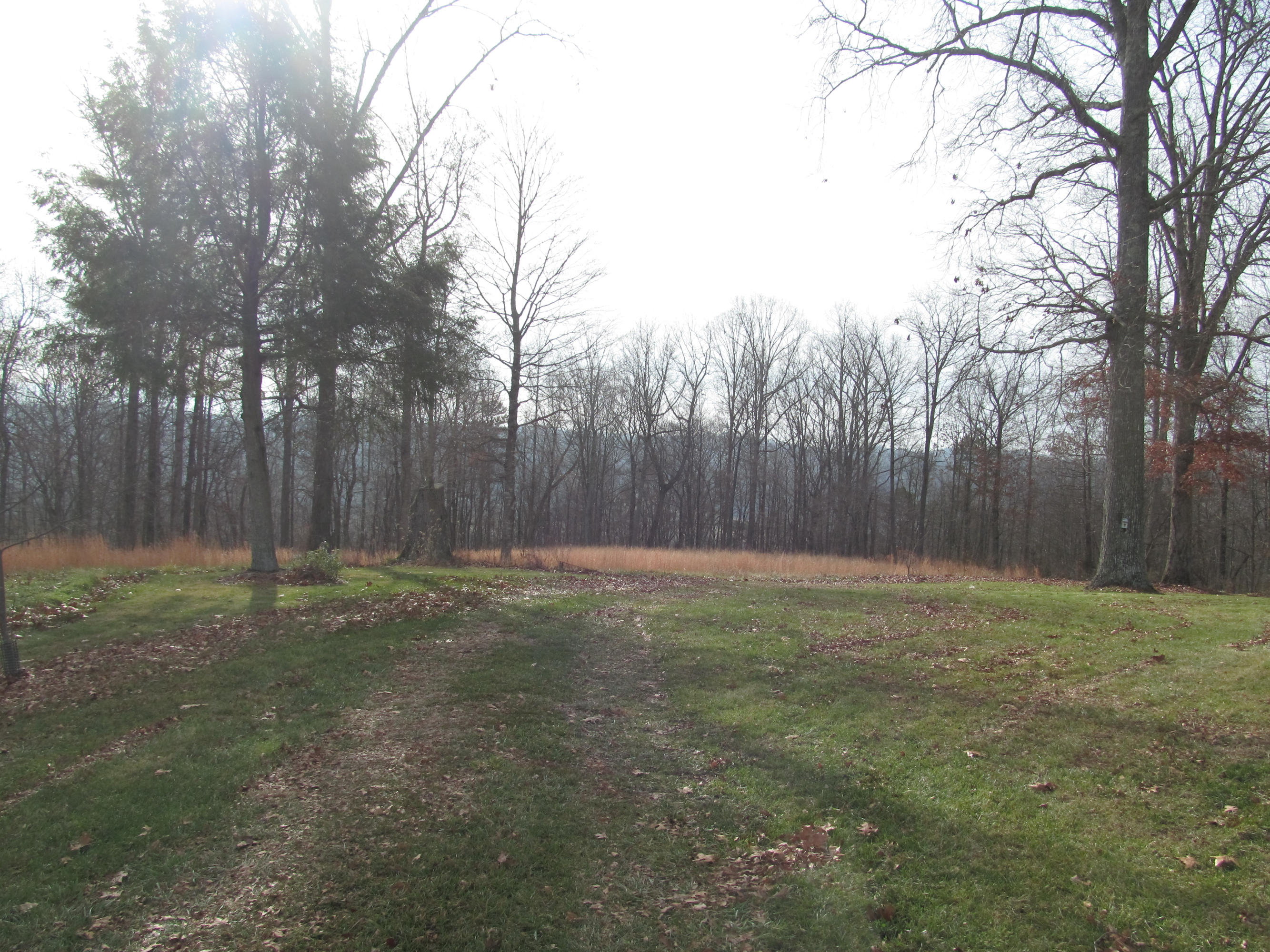 171 Robbins Road, Unit 171 Maynardville, TN 37807 - Photo 21 of 39 Farm