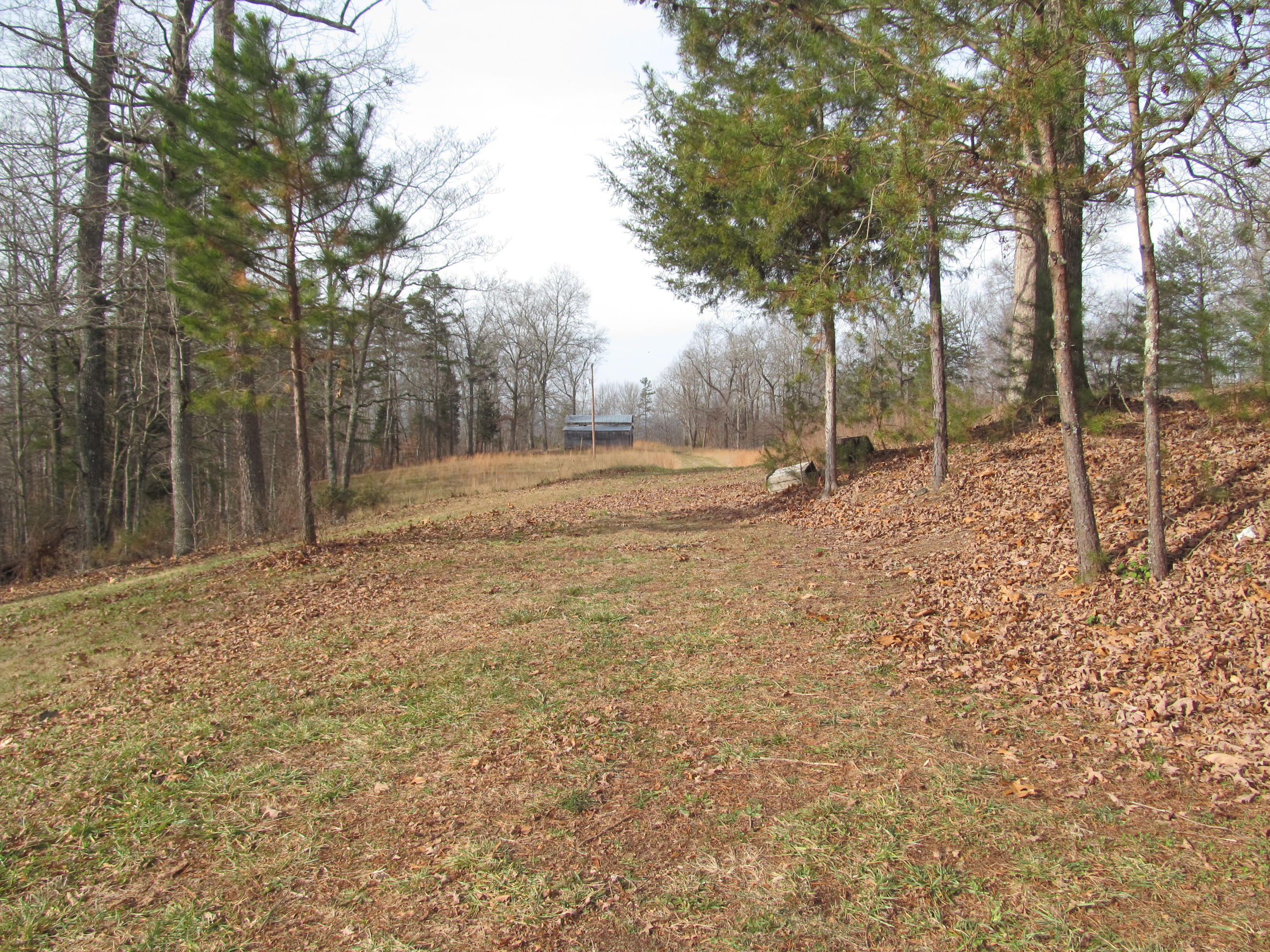 171 Robbins Road, Unit 171 Maynardville, TN 37807 - Photo 22 of 39 From House to Barn