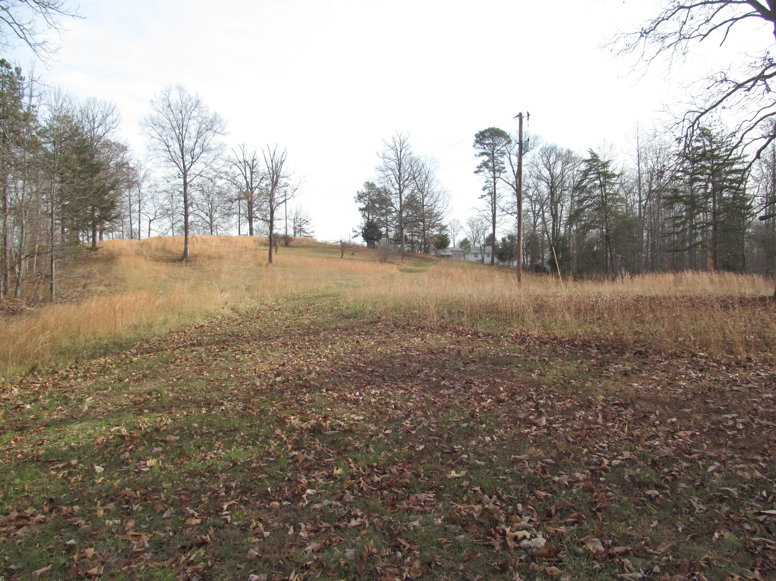 171 Robbins Road, Unit 171 Maynardville, TN 37807 - Photo 27 of 39 Farm