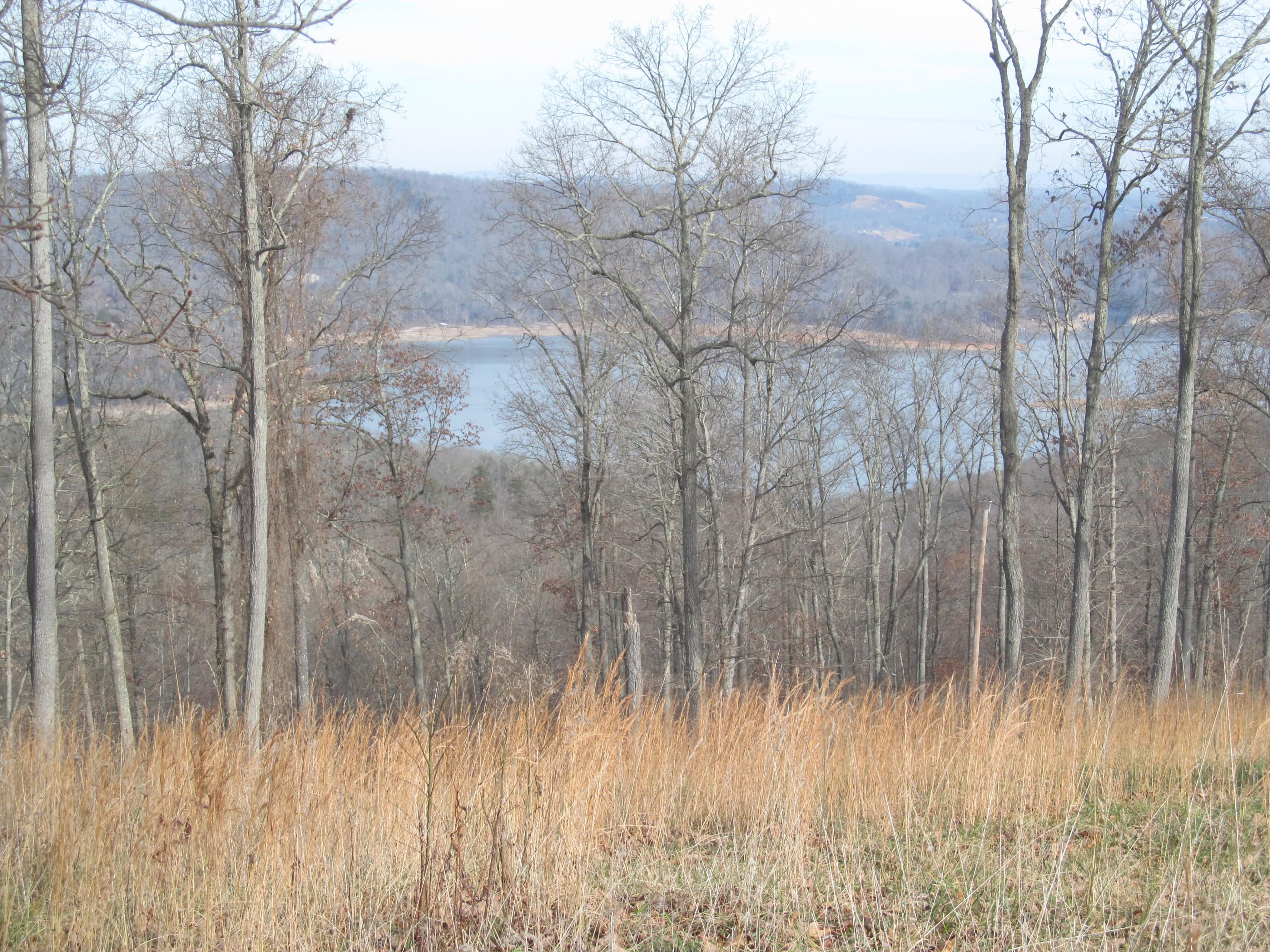 171 Robbins Road, Unit 171 Maynardville, TN 37807 - Photo 28 of 39 View on Lake