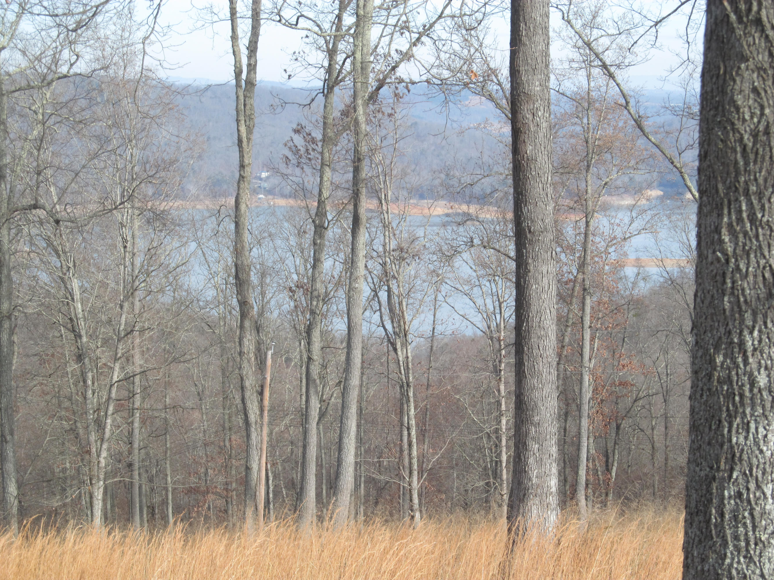 171 Robbins Road, Unit 171 Maynardville, TN 37807 - Photo 29 of 39 View of Lake