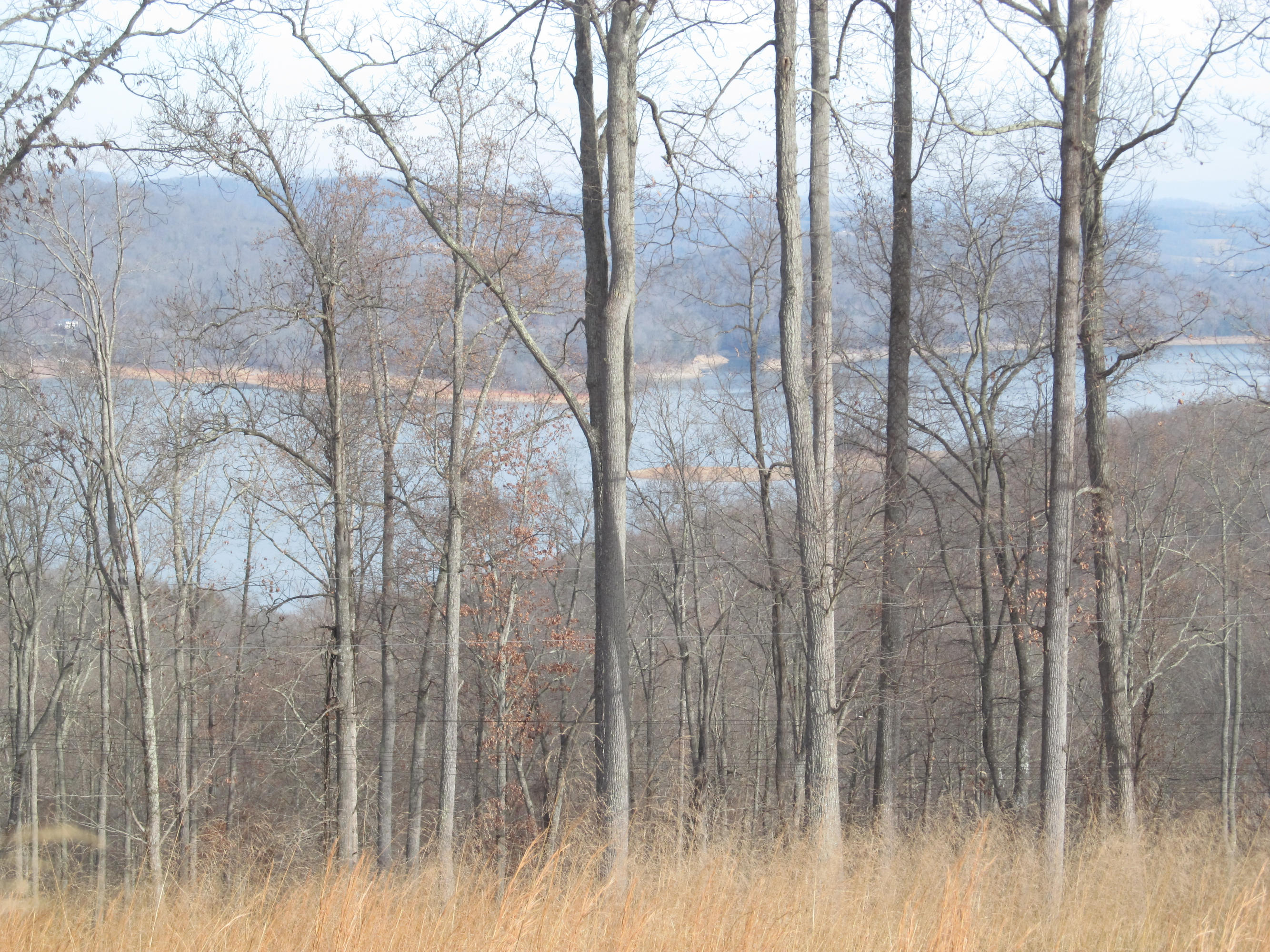 171 Robbins Road, Unit 171 Maynardville, TN 37807 - Photo 30 of 39 View of Lake