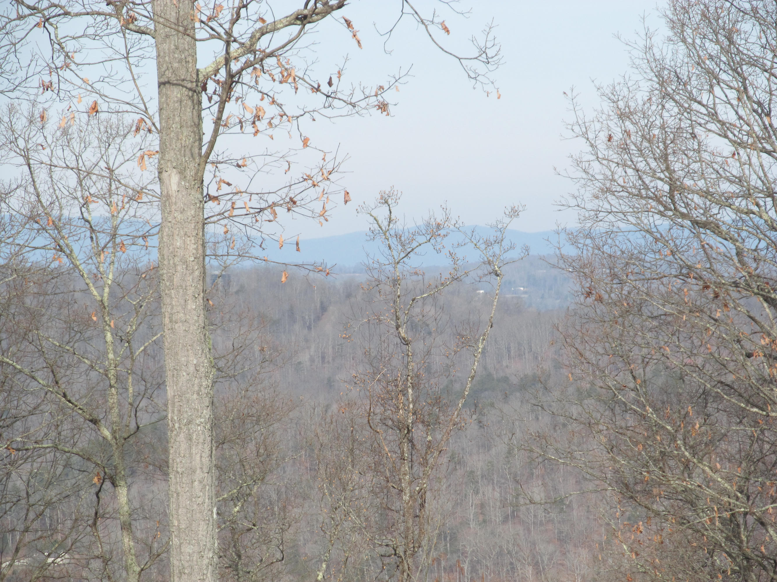171 Robbins Road, Unit 171 Maynardville, TN 37807 - Photo 32 of 39 Mountain View