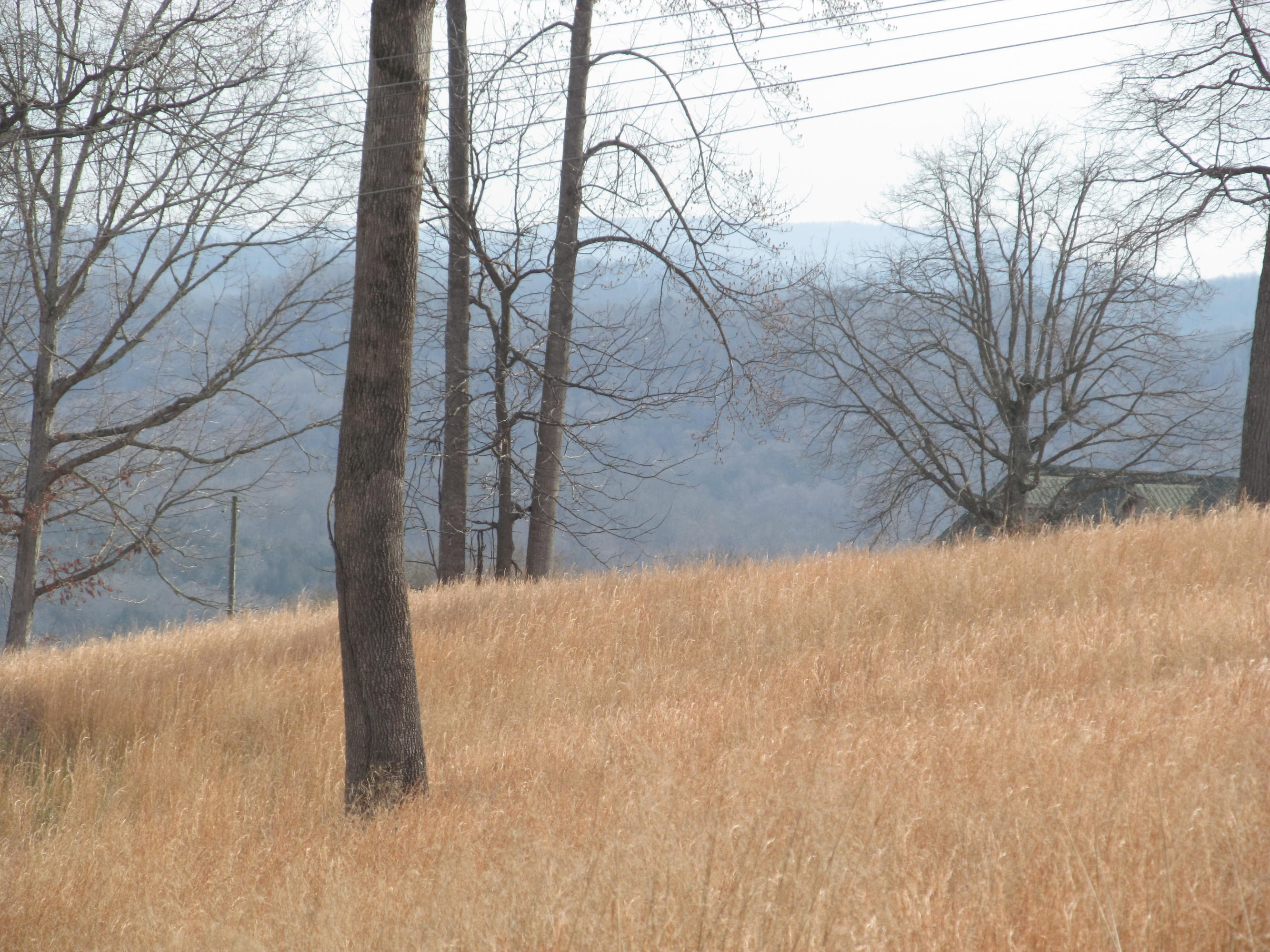 171 Robbins Road, Unit 171 Maynardville, TN 37807 - Photo 33 of 39 Mountain View