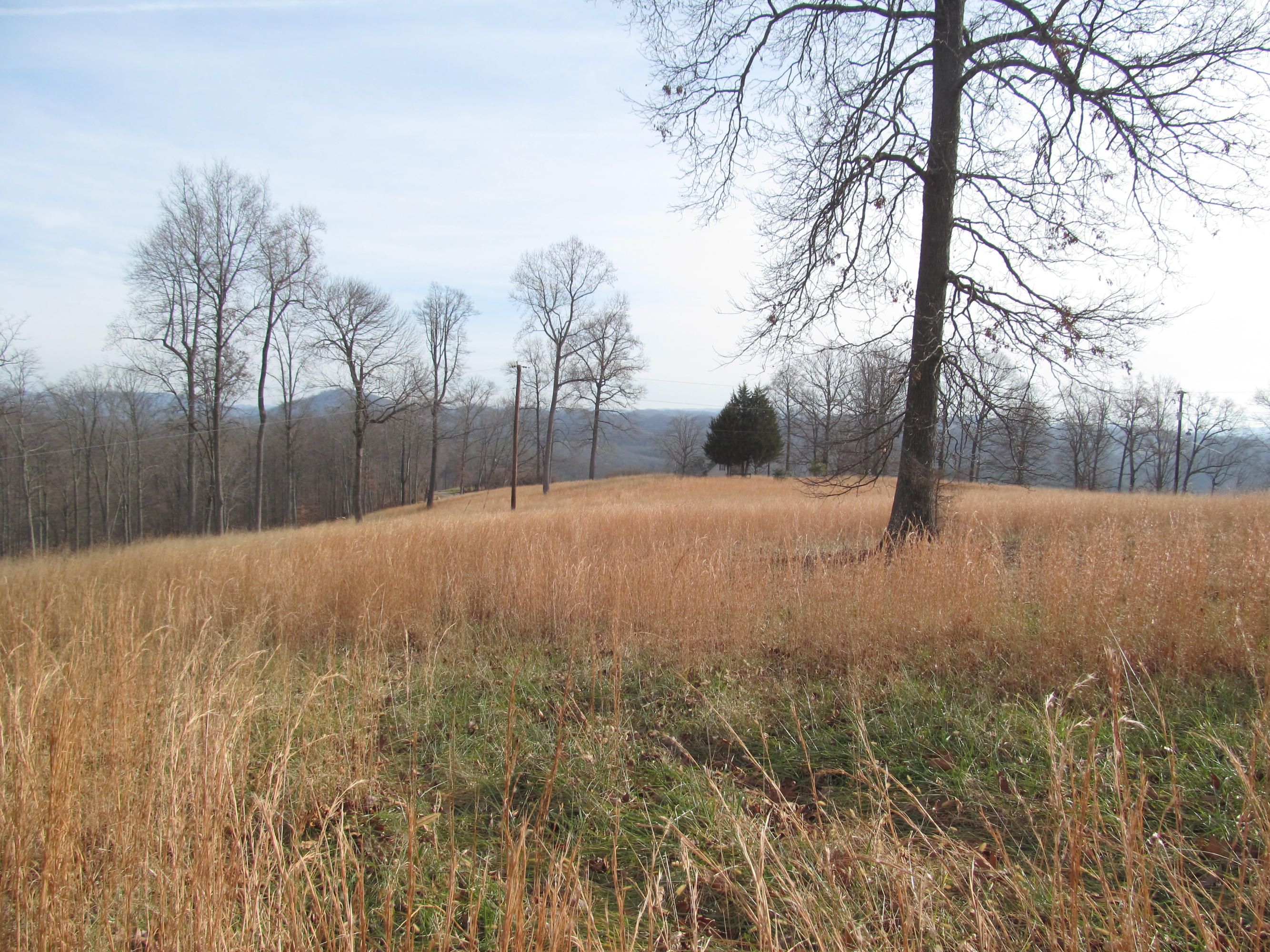 171 Robbins Road, Unit 171 Maynardville, TN 37807 - Photo 34 of 39 Farm
