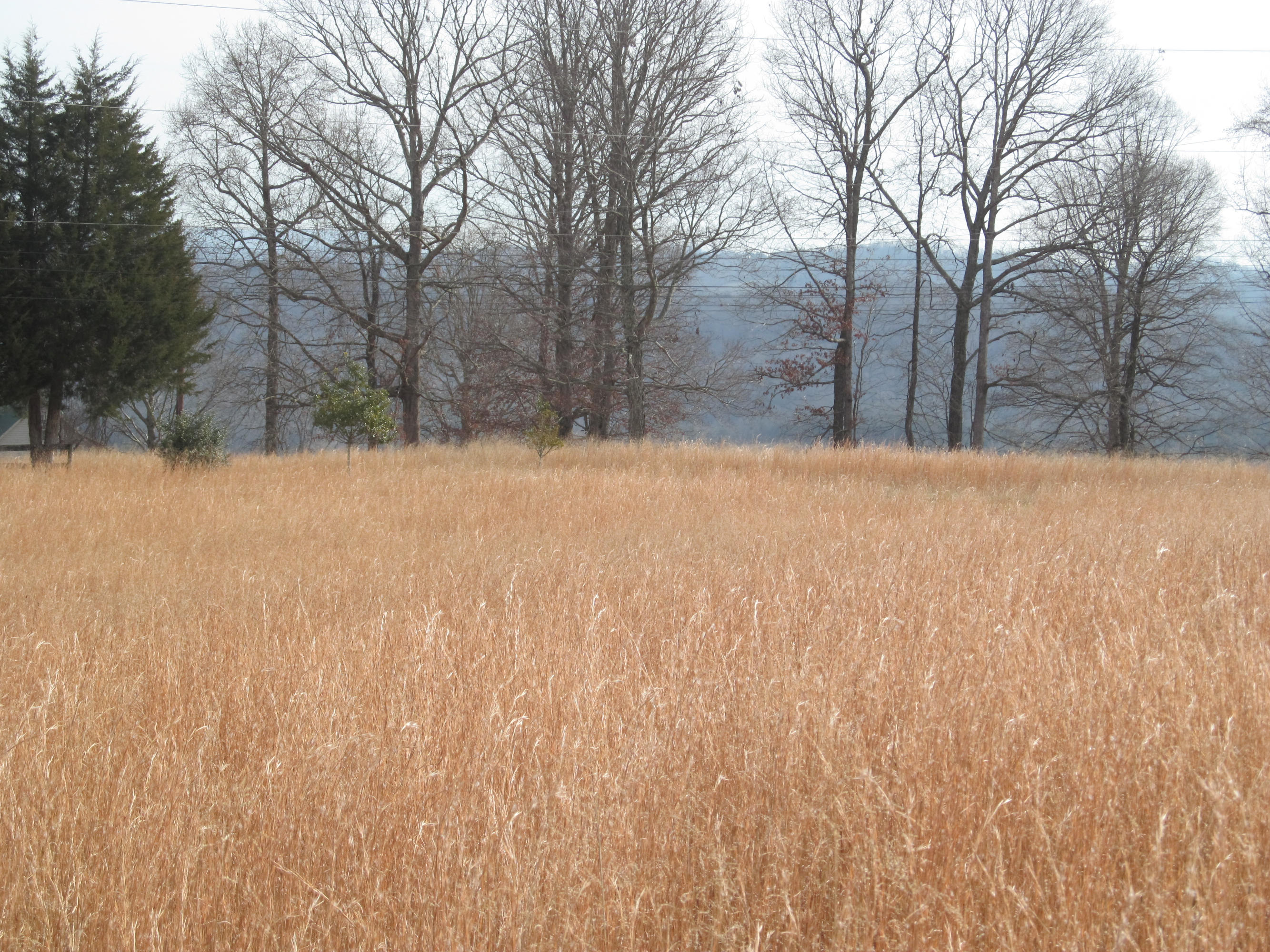 171 Robbins Road, Unit 171 Maynardville, TN 37807 - Photo 35 of 39 Mountain View