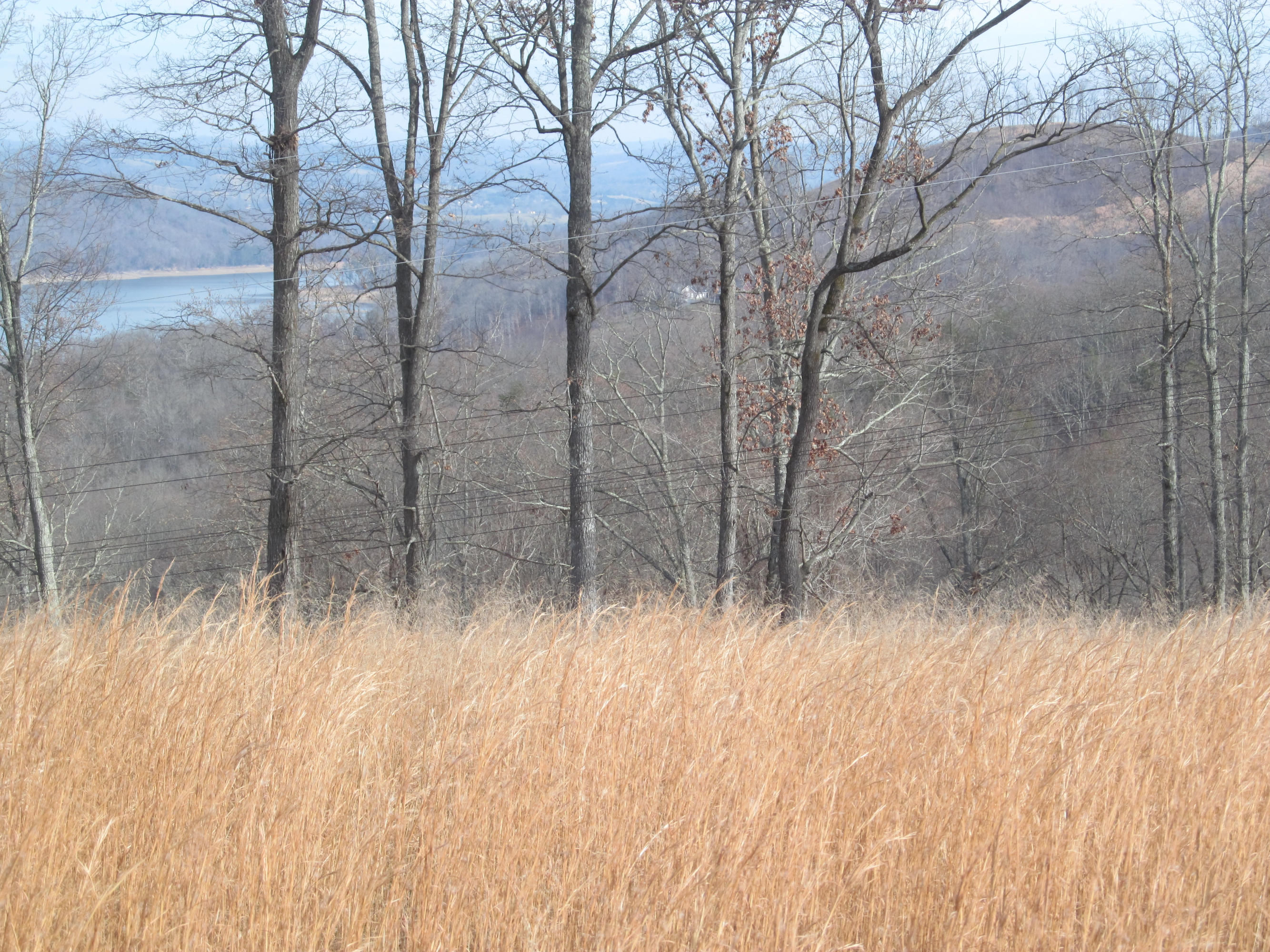 171 Robbins Road, Unit 171 Maynardville, TN 37807 - Photo 36 of 39 Mountain View