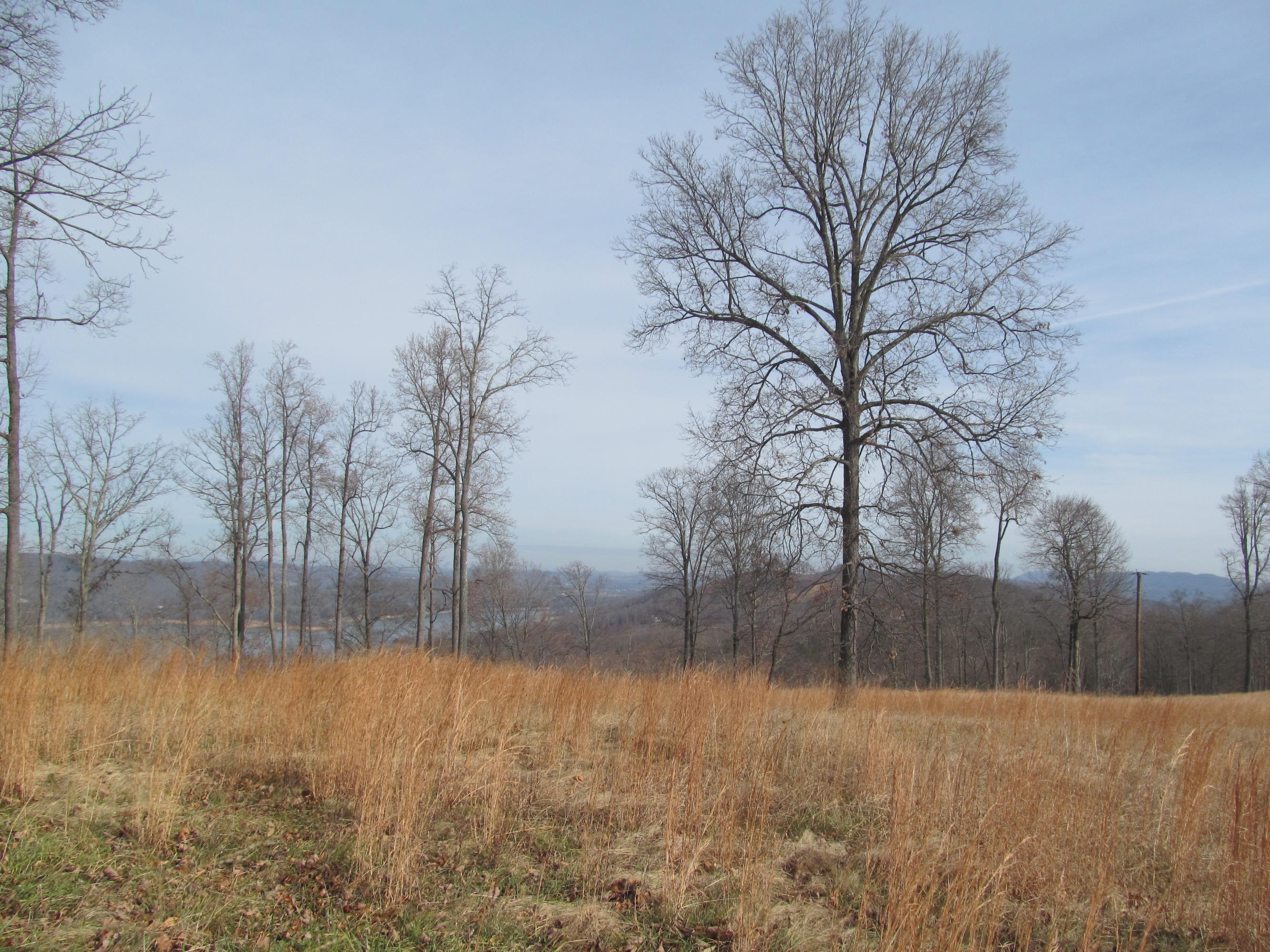 171 Robbins Road, Unit 171 Maynardville, TN 37807 - Photo 37 of 39 Farm