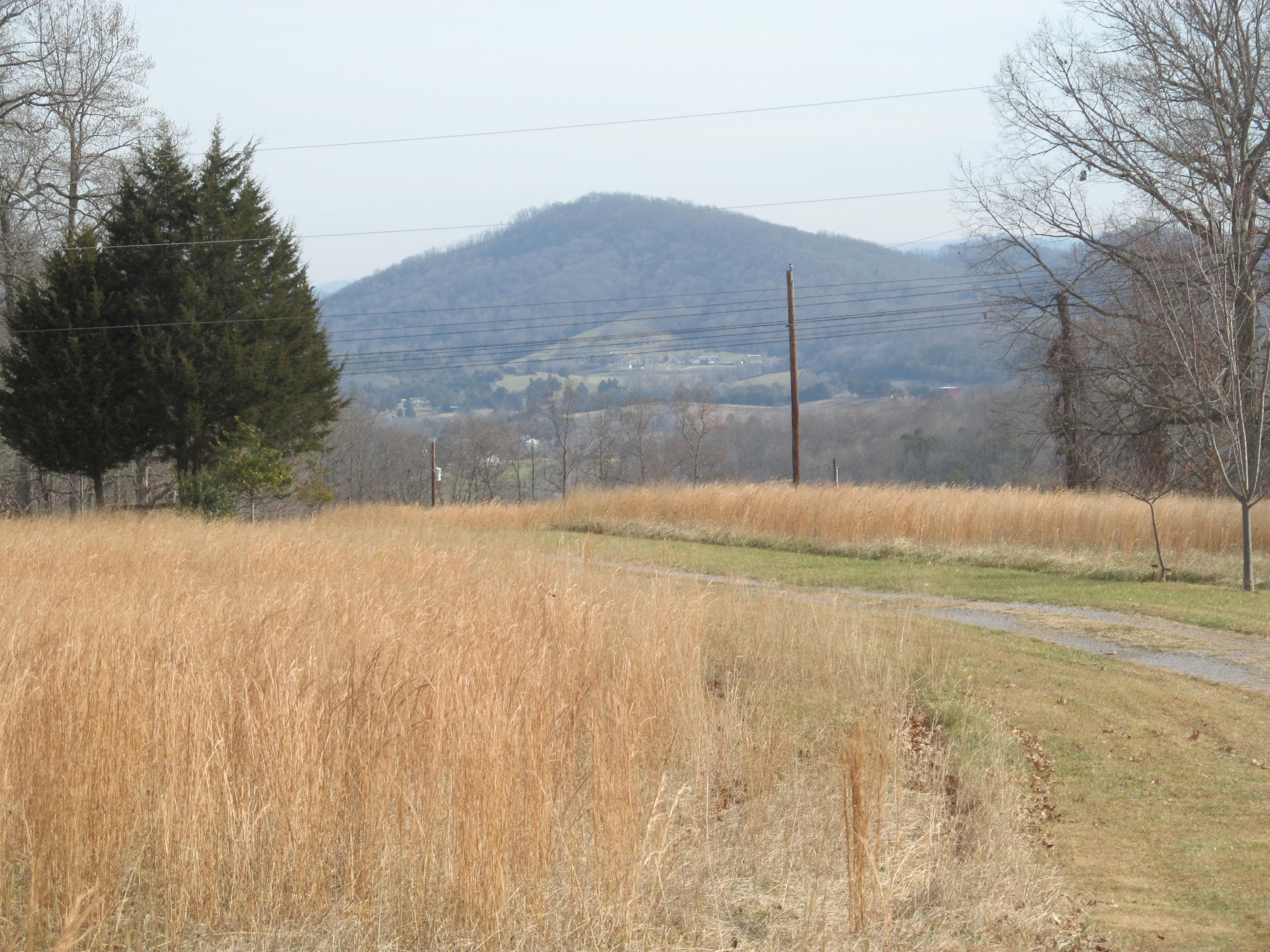 171 Robbins Road, Unit 171 Maynardville, TN 37807 - Photo 39 of 39 Mountain View