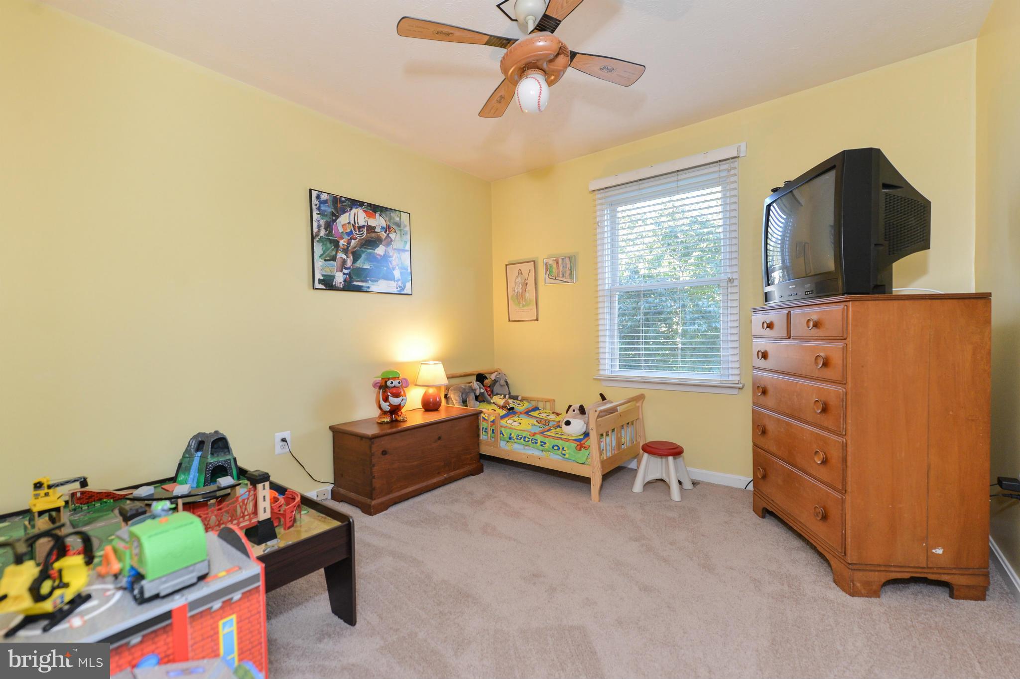 110 Turtleback Court Rising Sun, MD 21911 - Photo 16 of 29 Bedroom #3