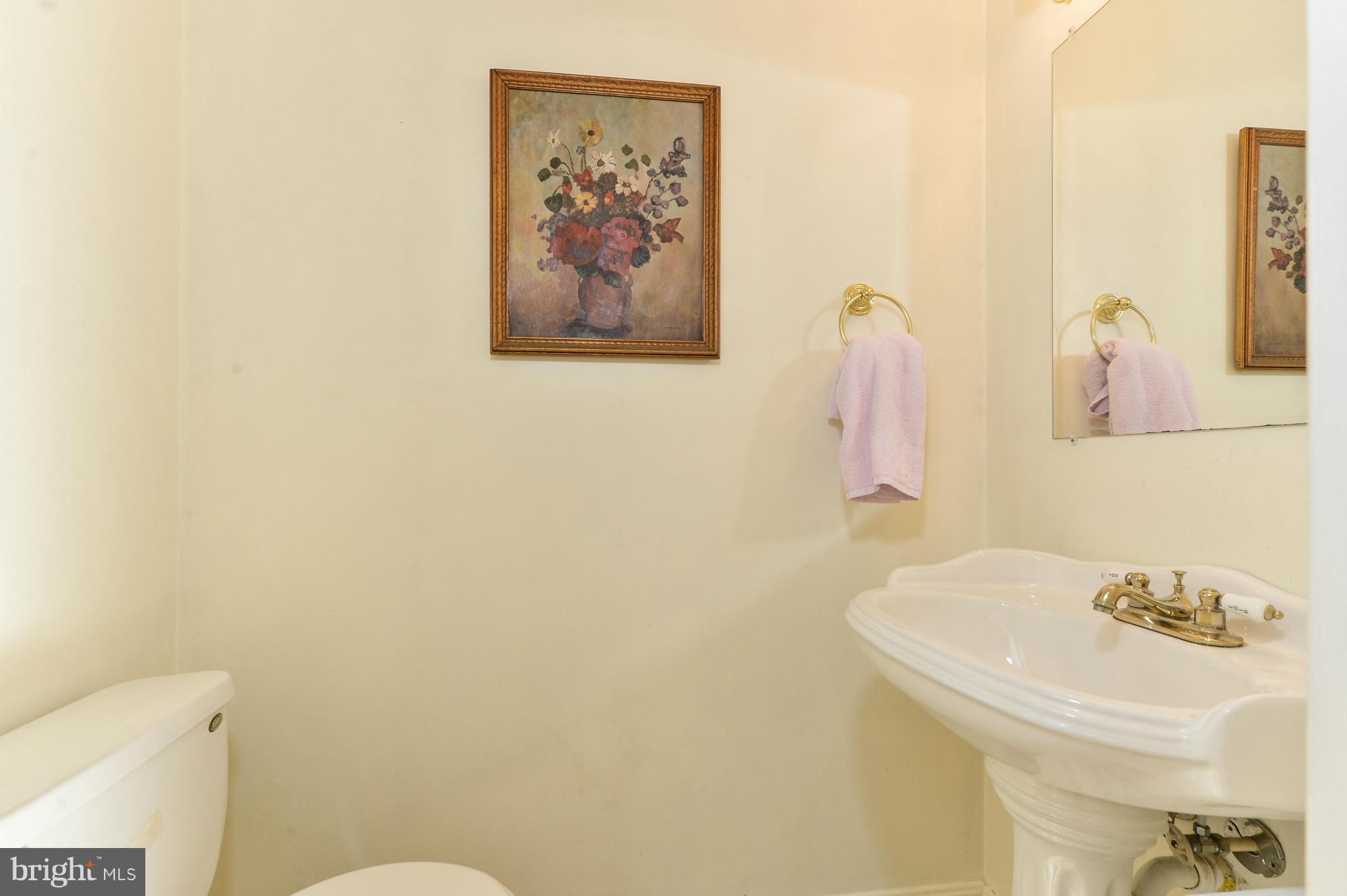 110 Turtleback Court Rising Sun, MD 21911 - Photo 22 of 29 Half bath
