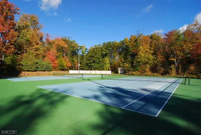 a view of a tennis ground with large trees