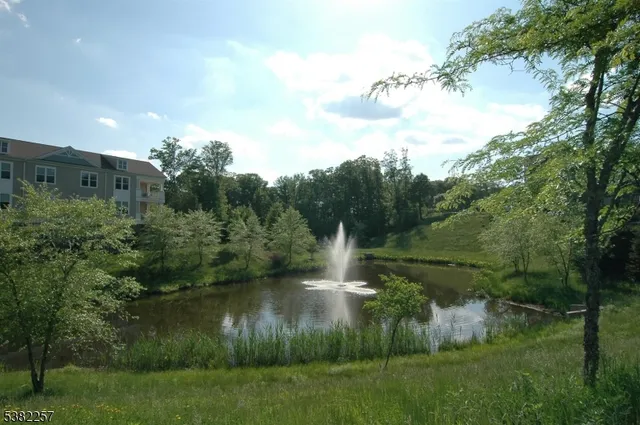 a view of a lake with a yard and large trees